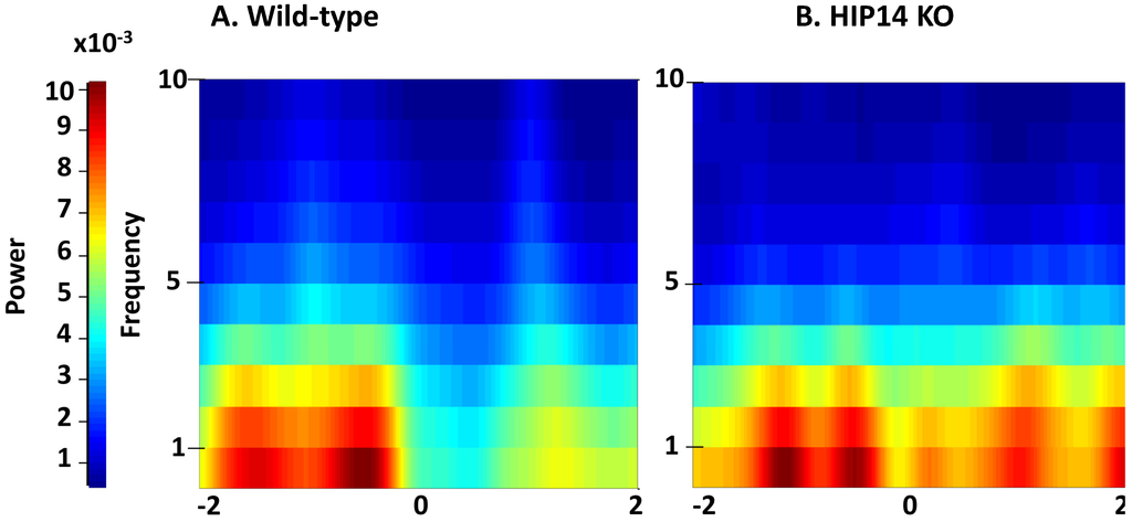 Brainsci 03 01588 g002 1024