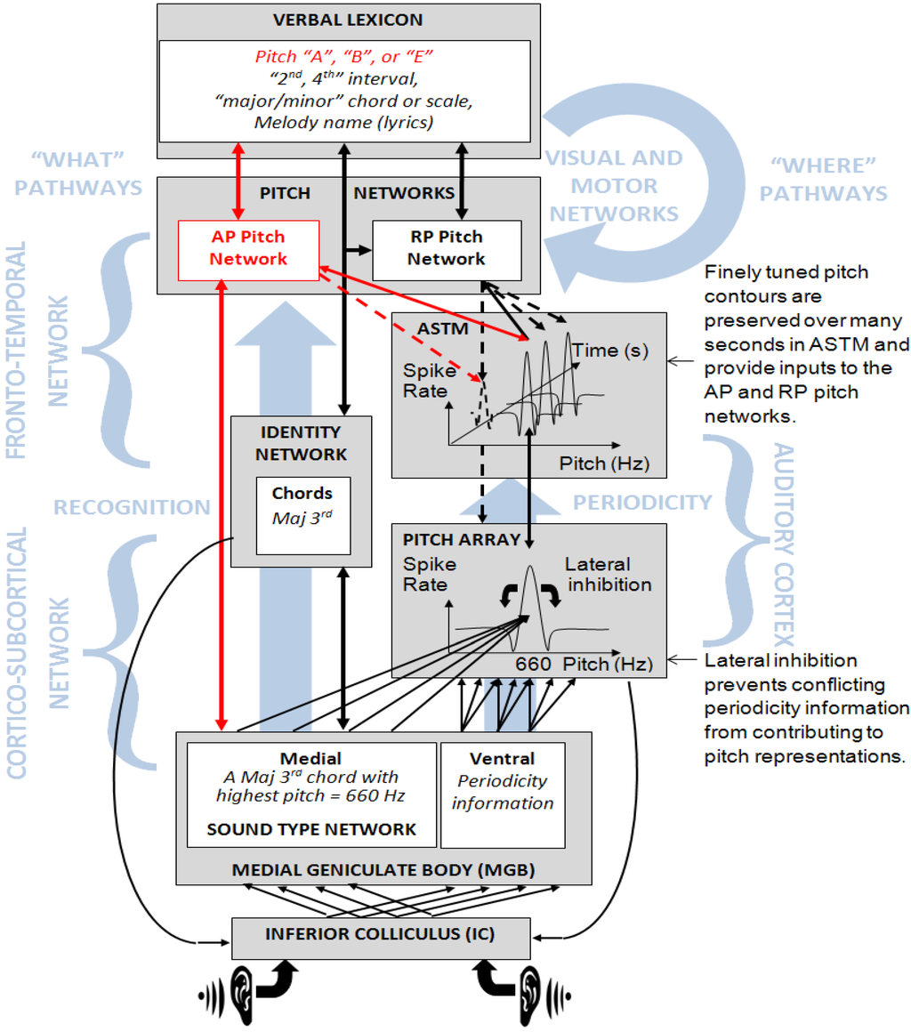 Brainsci 03 01615 g005 1024