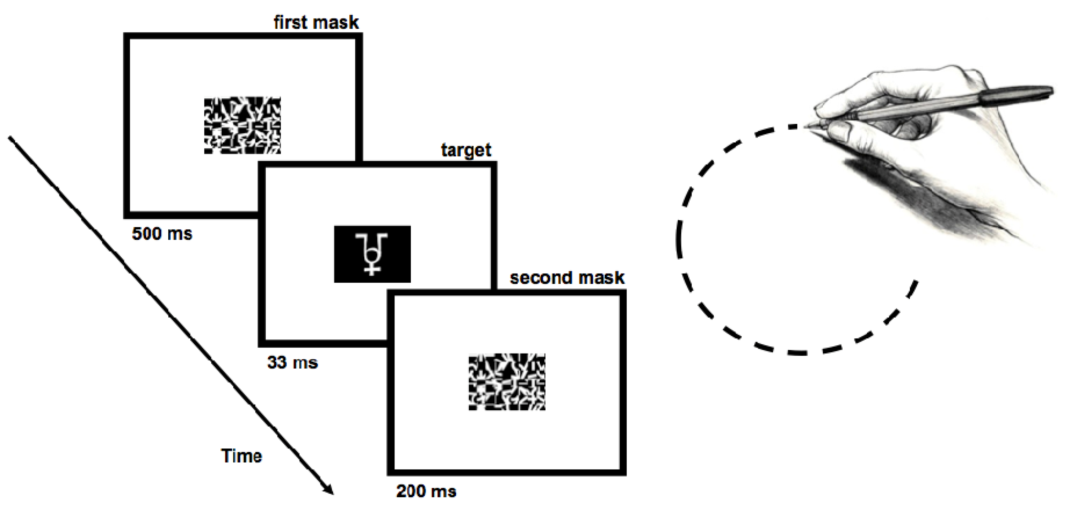 Brainsci 04 00220 g001