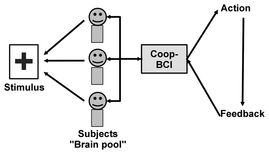 Brainsci 04 00335 g002 1024