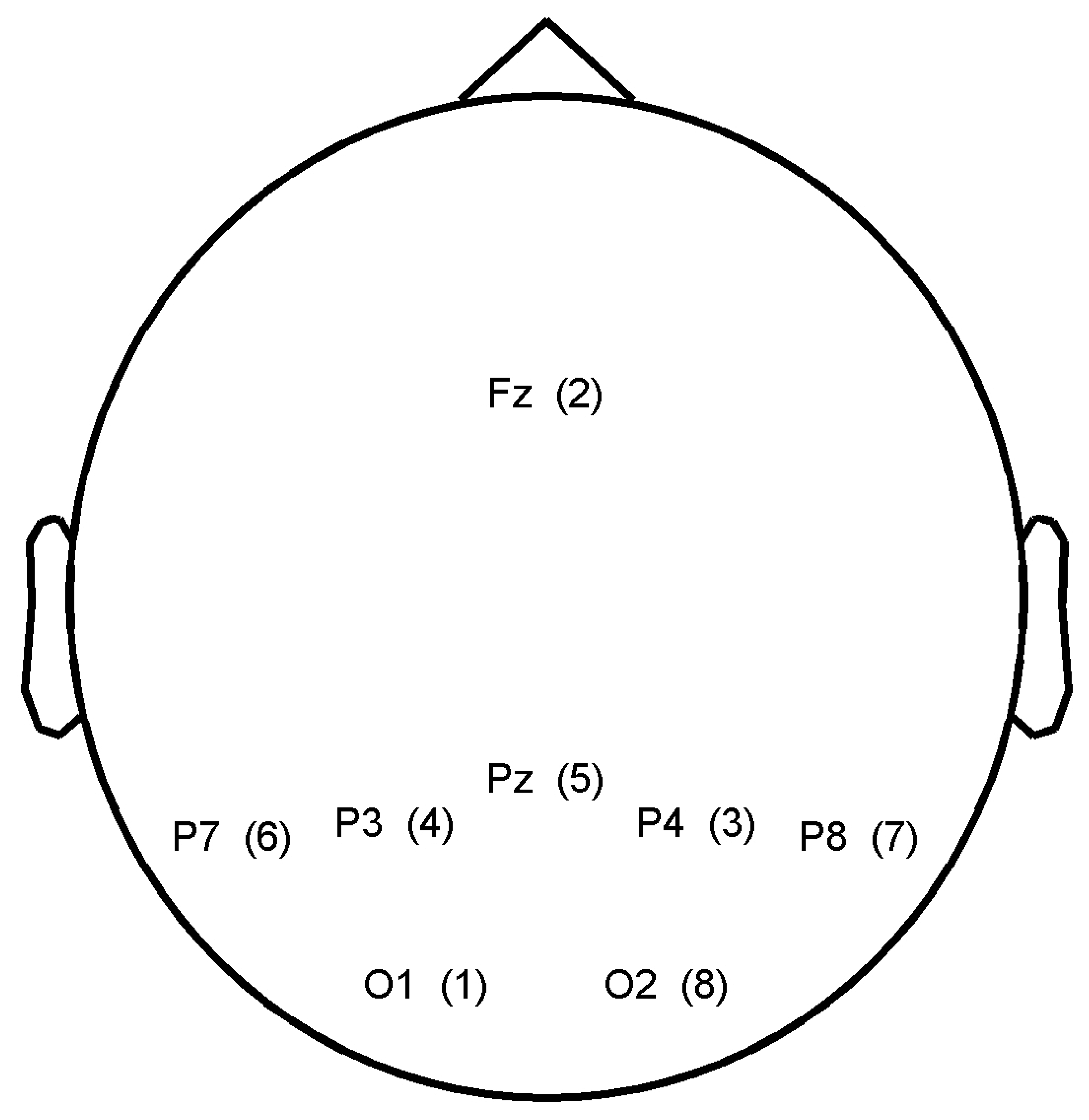 Brainsci 04 00335 g005