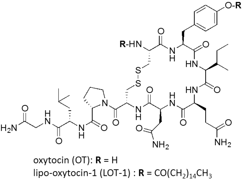 Brainsci 05 00003 g001 1024