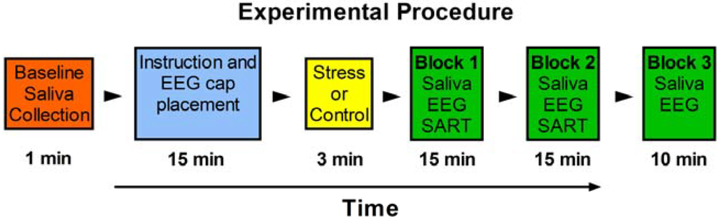Brainsci 05 00201 g001 1024