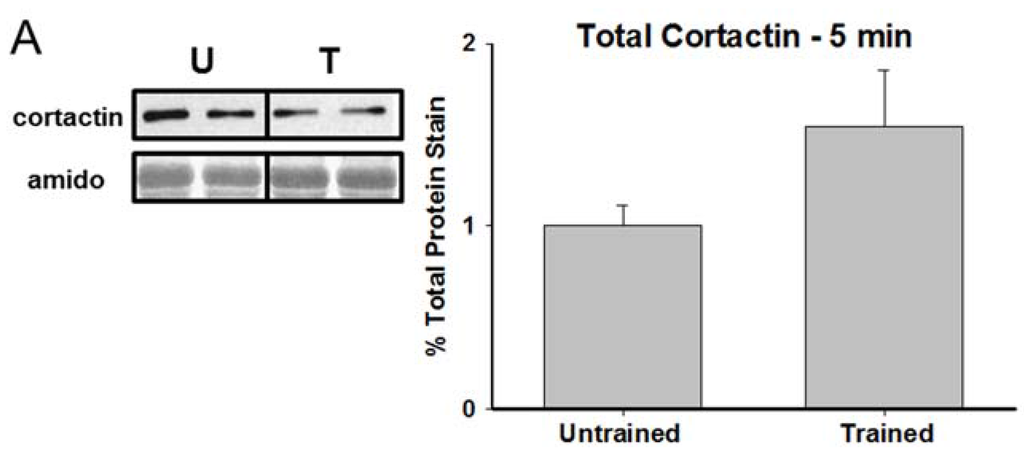 Brainsci 05 00241 g002a 1024
