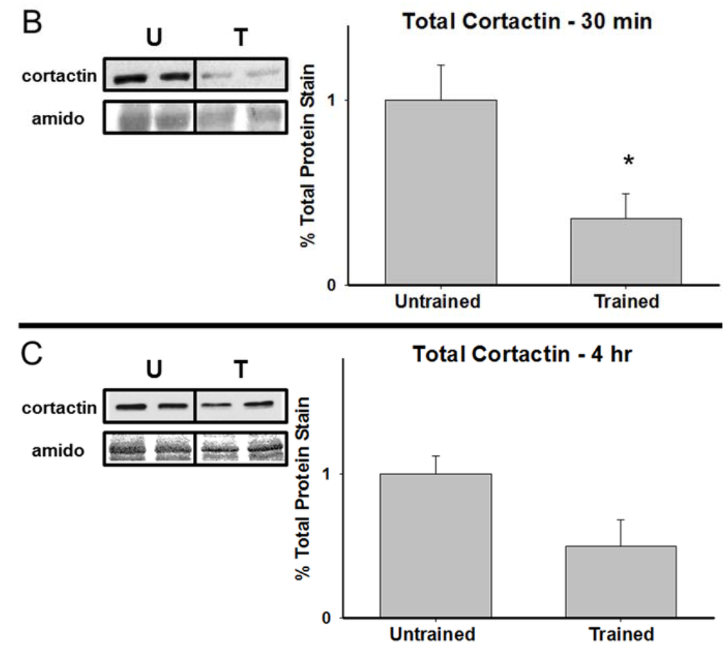 Brainsci 05 00241 g002b 1024