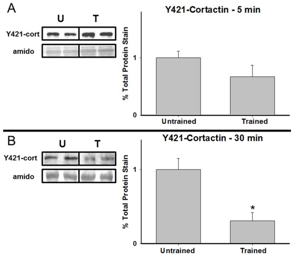 Brainsci 05 00241 g003a 1024