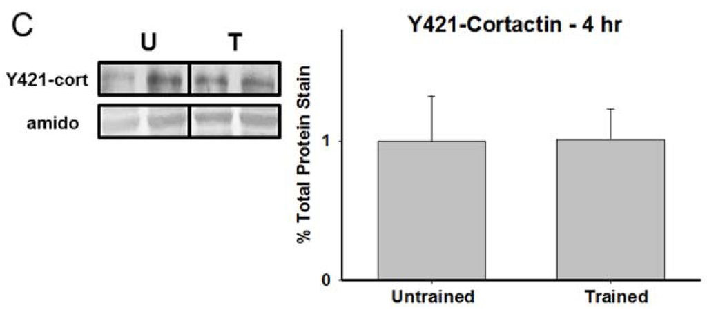 Brainsci 05 00241 g003b 1024