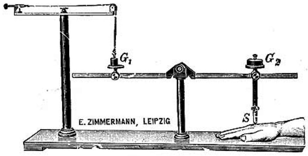 Brainsci 05 00521 g007 1024