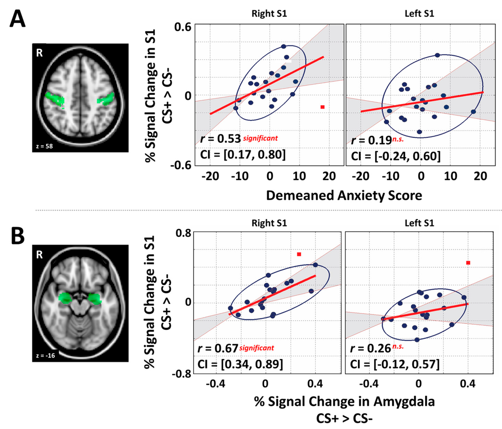 Brainsci 06 00002 g002 1024