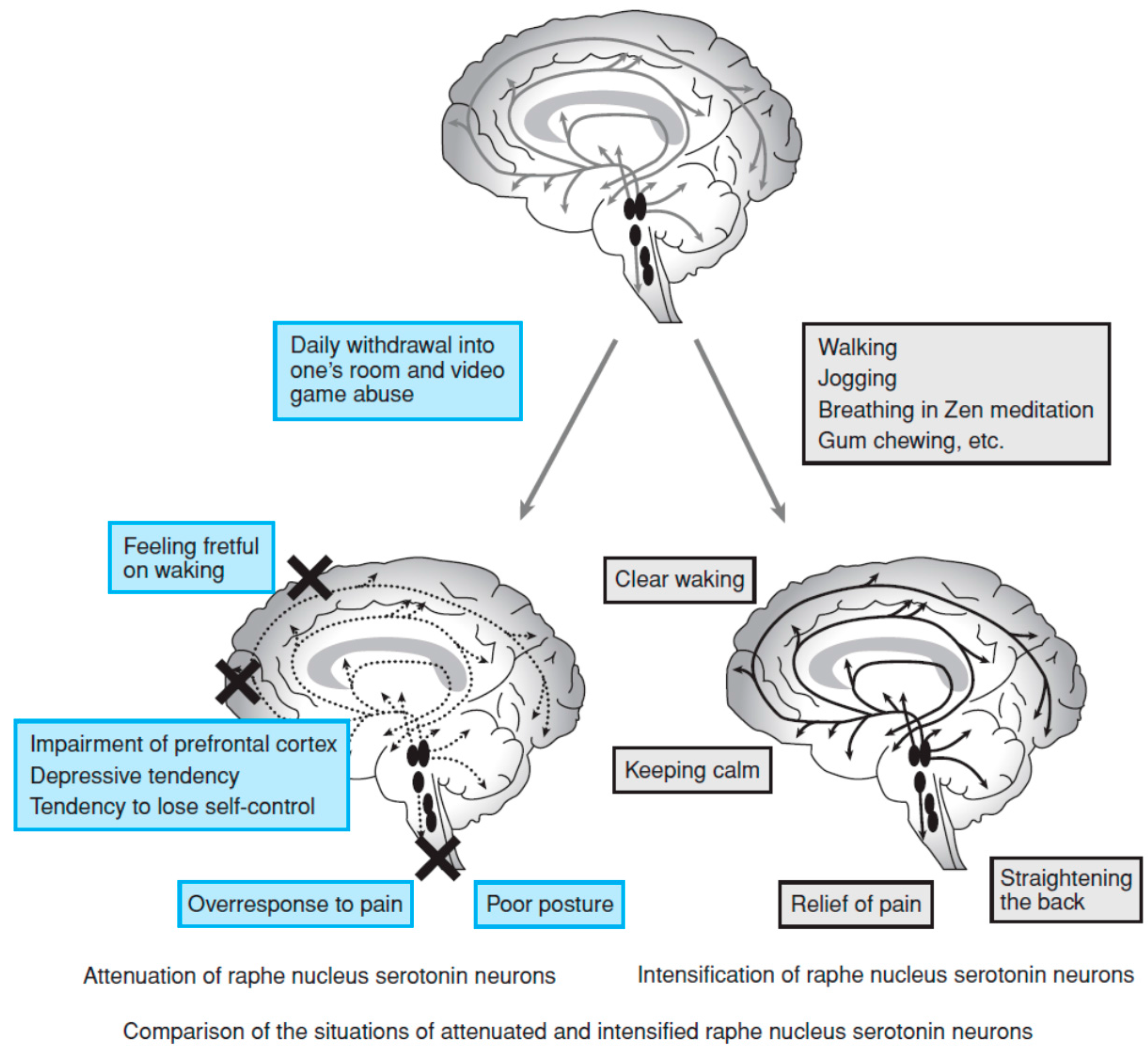 Brainsci 06 00005 g002