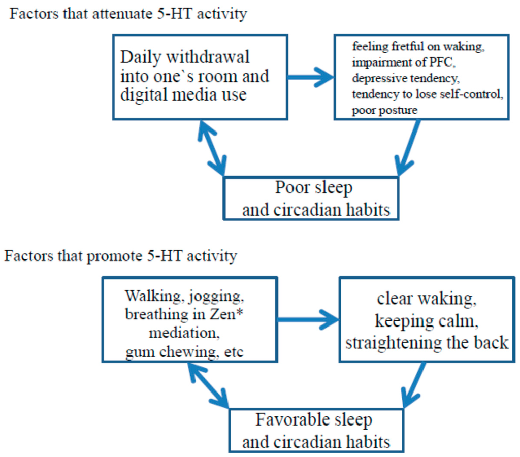 Brainsci 06 00005 g003 1024