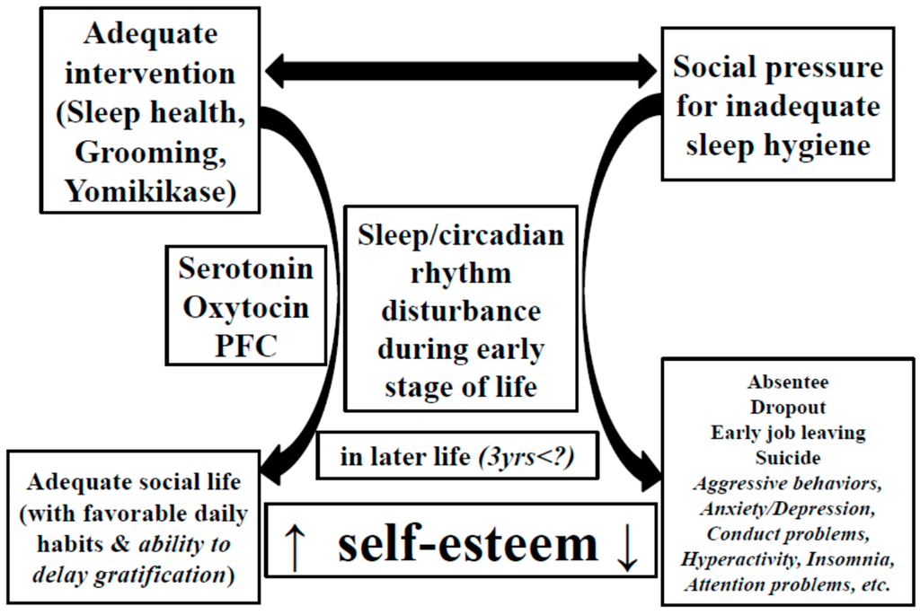 Brainsci 06 00005 g004 1024
