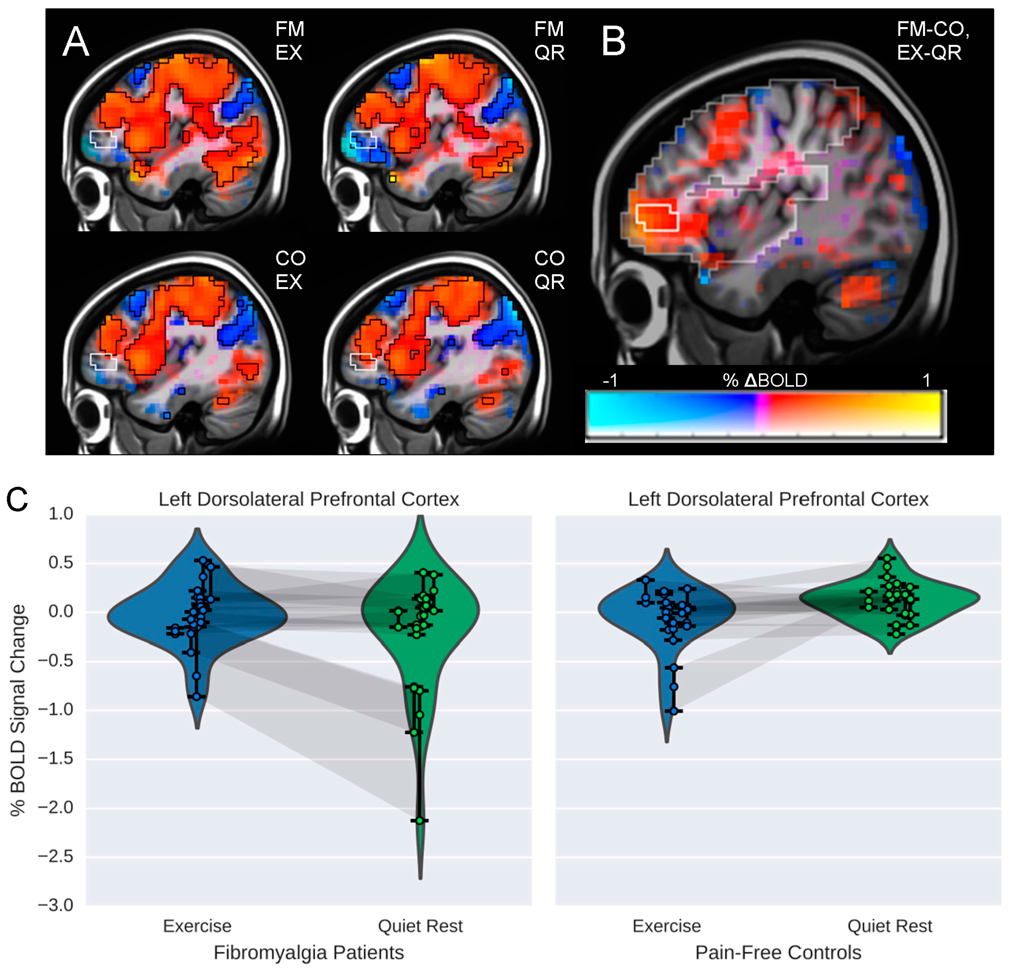 Brainsci 06 00008 g003
