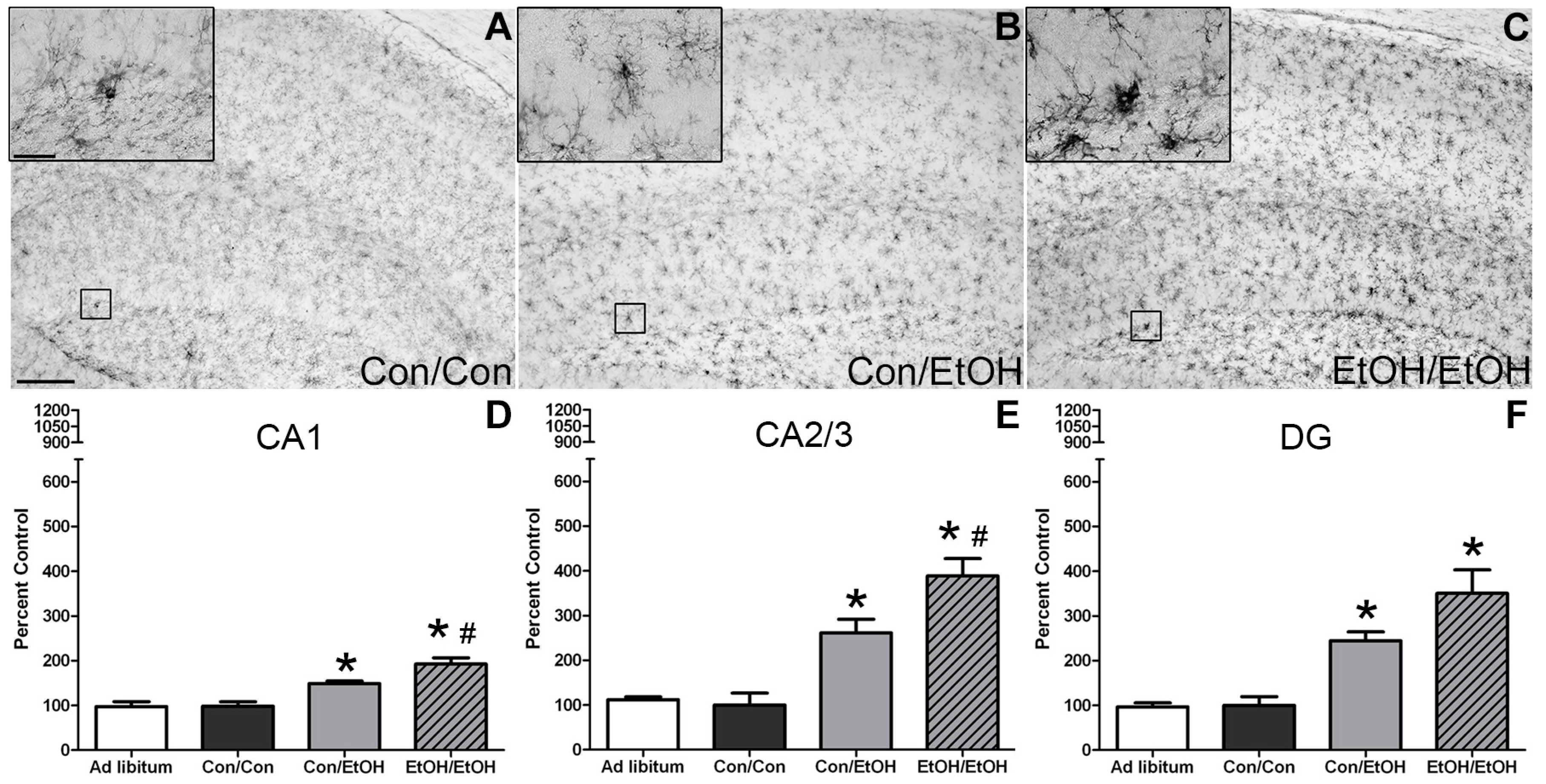 Brainsci 06 00016 g001