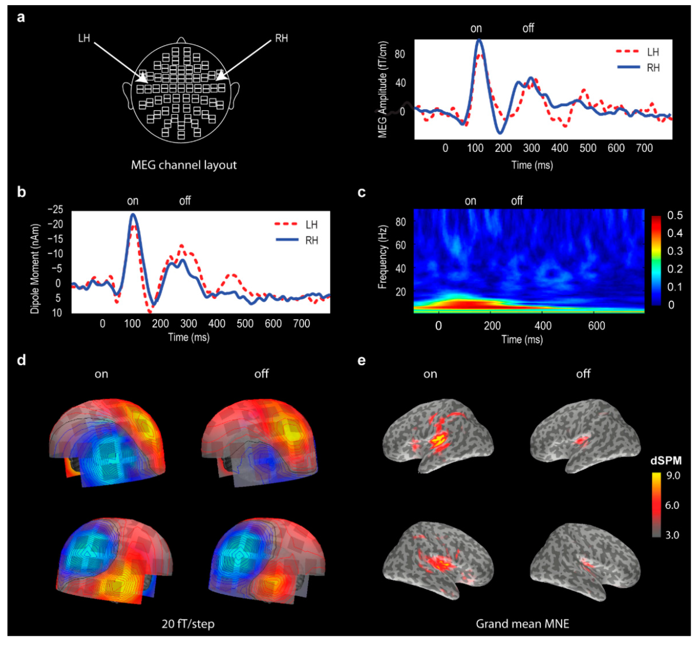 Brainsci 06 00027 g007