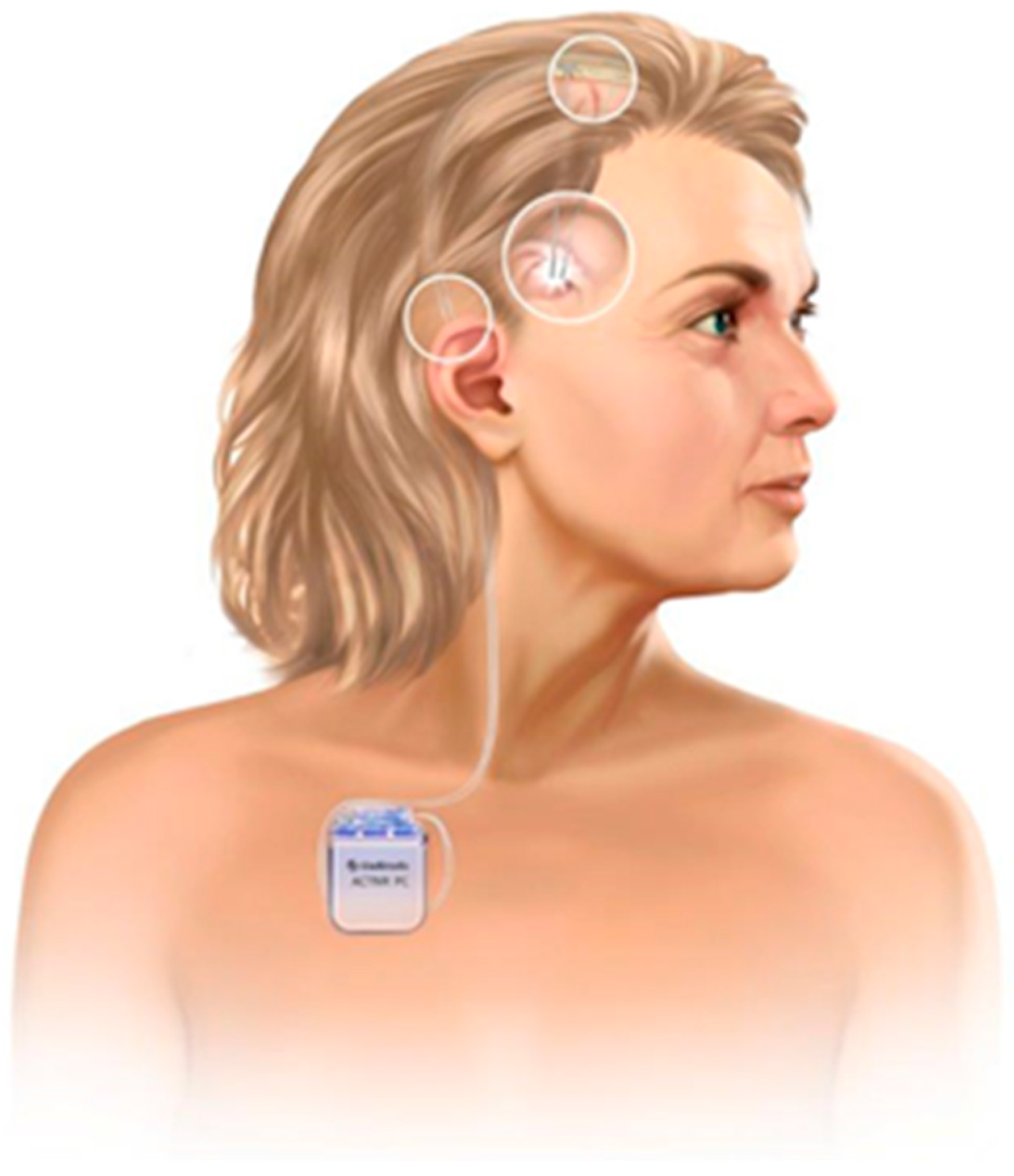Brainsci 06 00038 g001