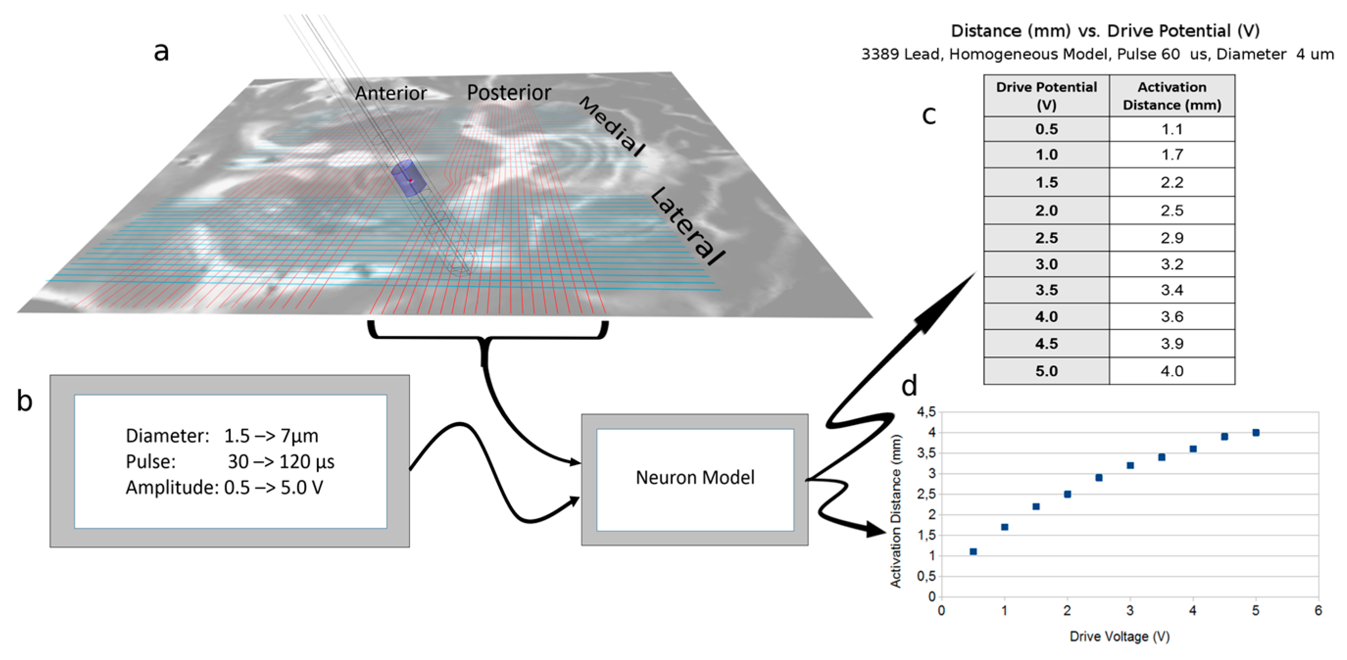 Brainsci 06 00039 g003