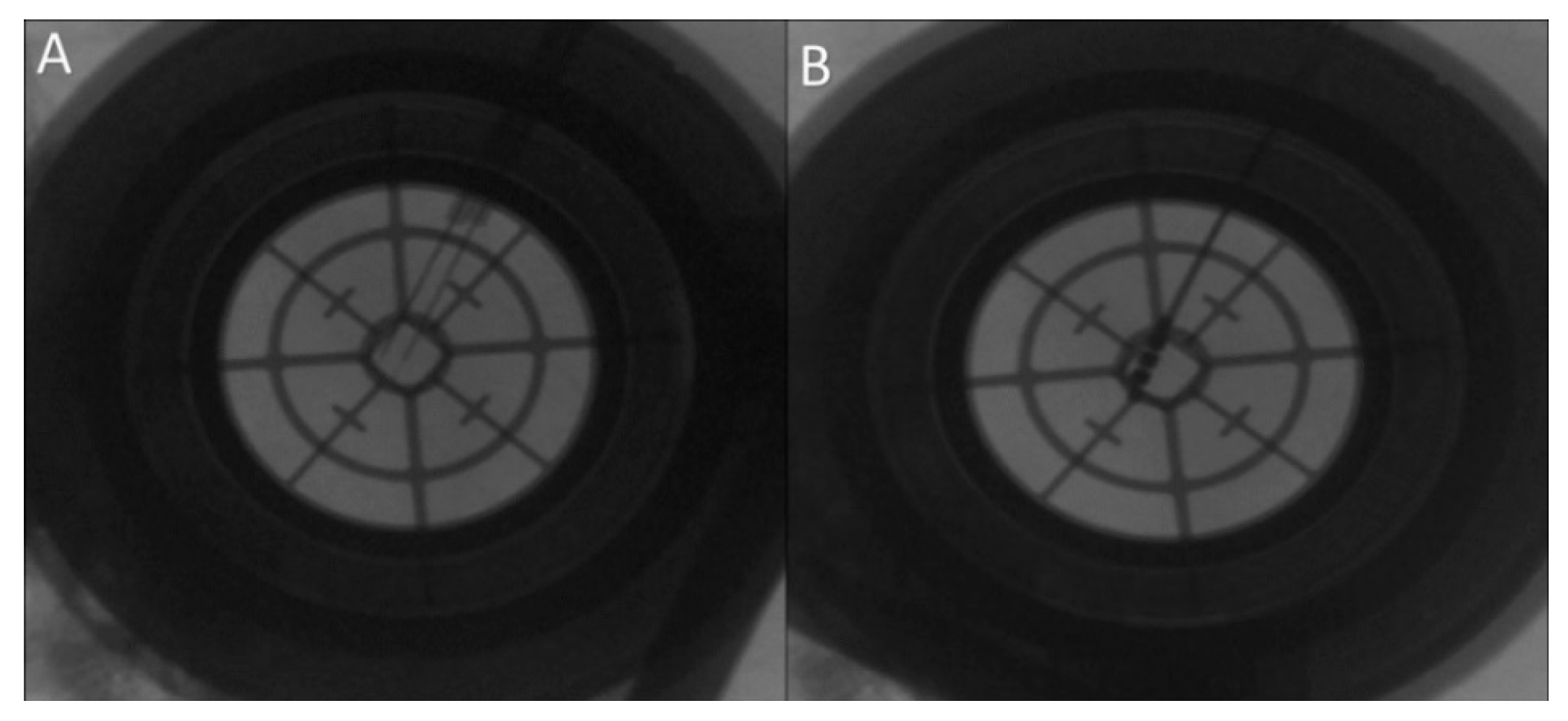Brainsci 06 00065 g008