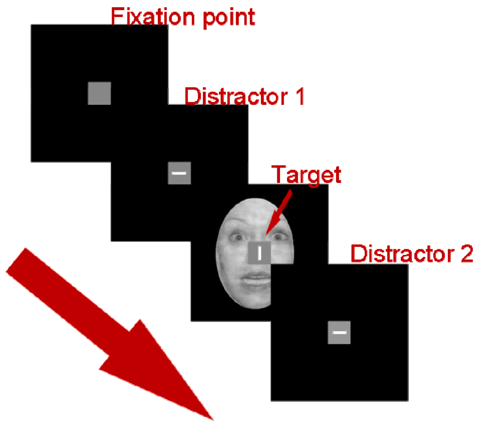 Brainsci 07 00016 g001