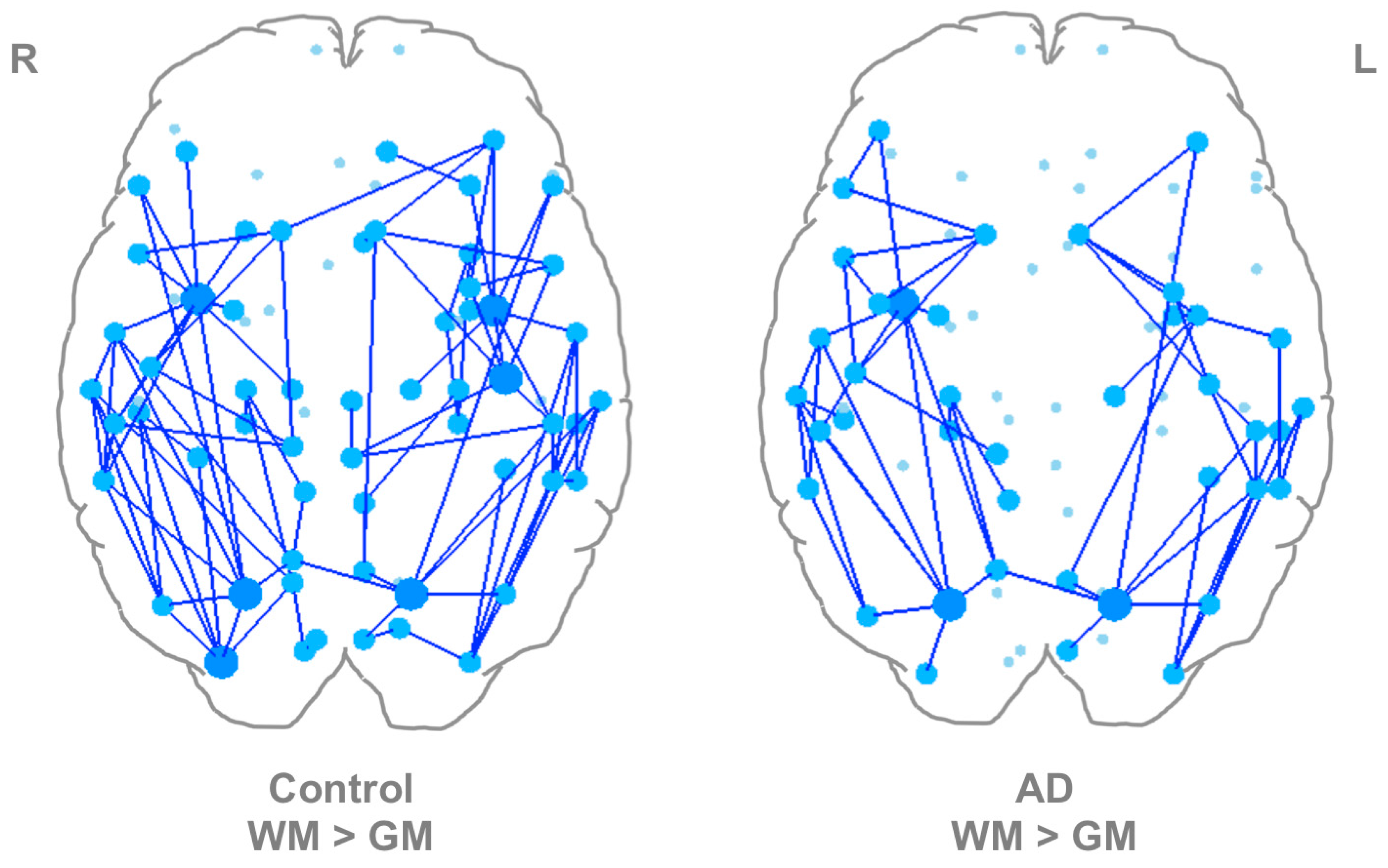 Brainsci 07 00037 g002