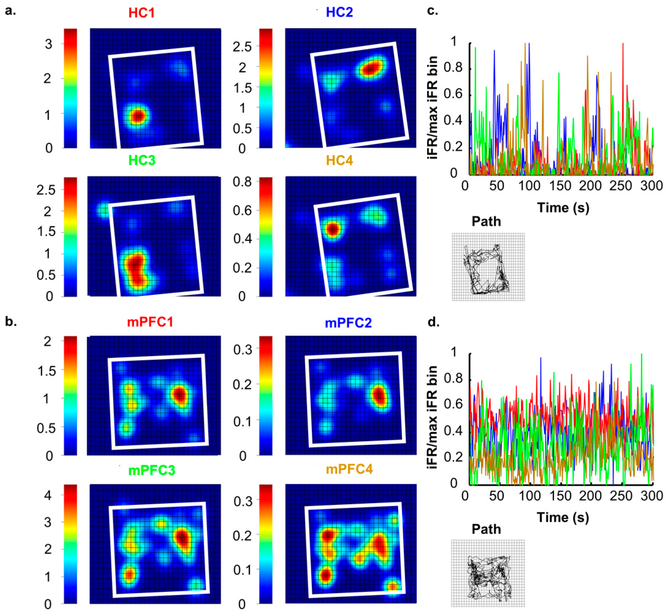 Brainsci 07 00043 g001