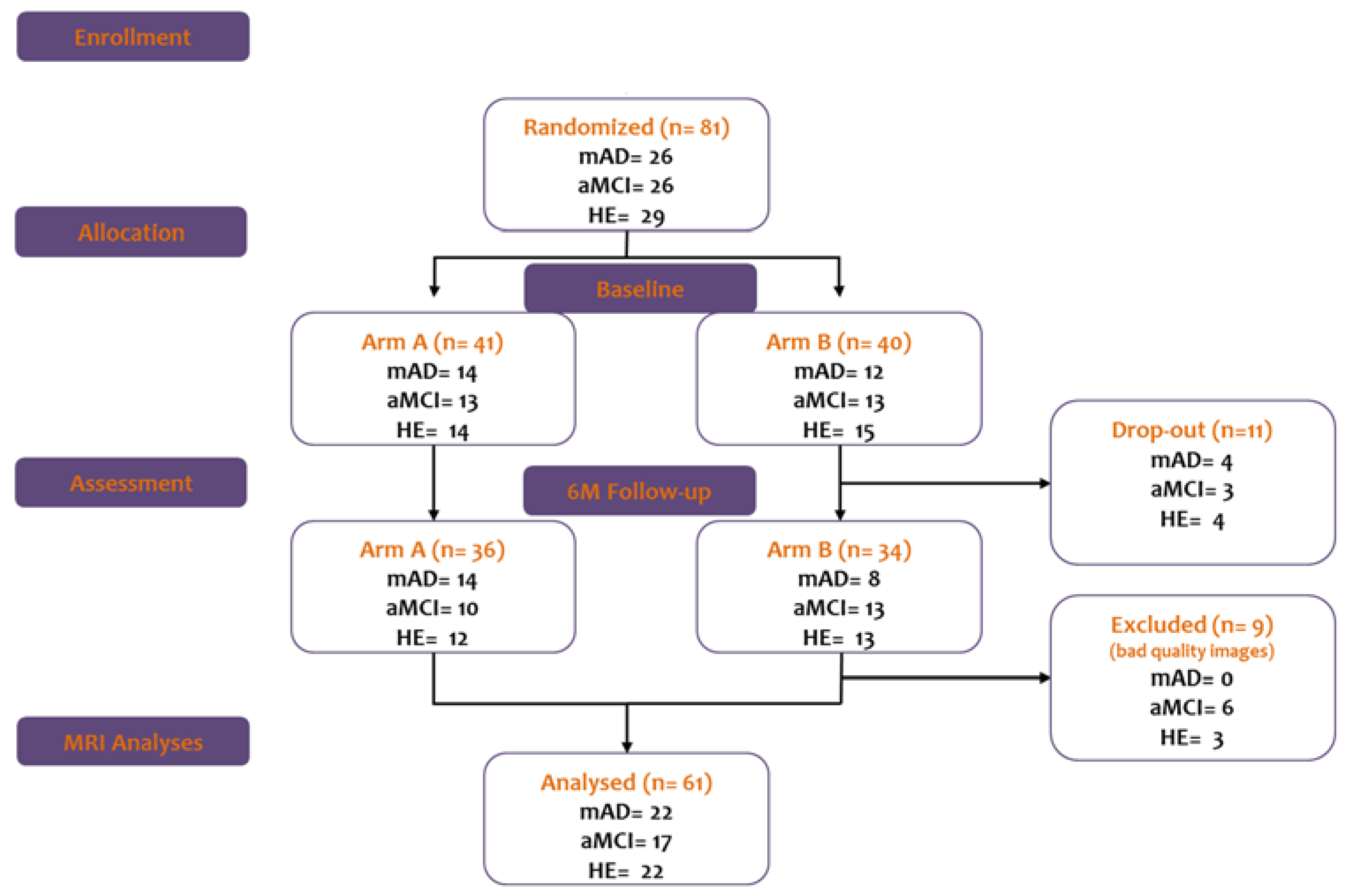 Brainsci 07 00050 g001