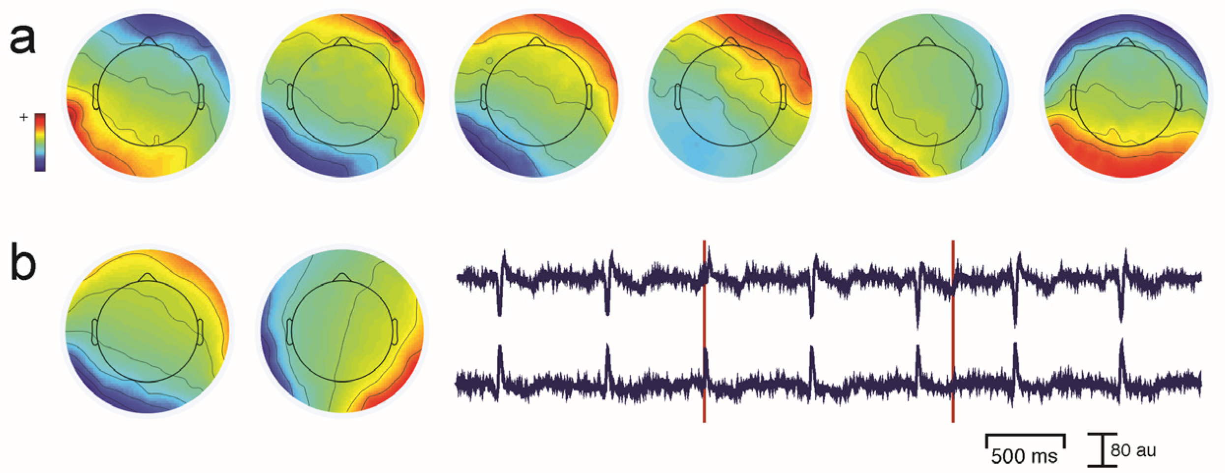 Brainsci 07 00058 g003