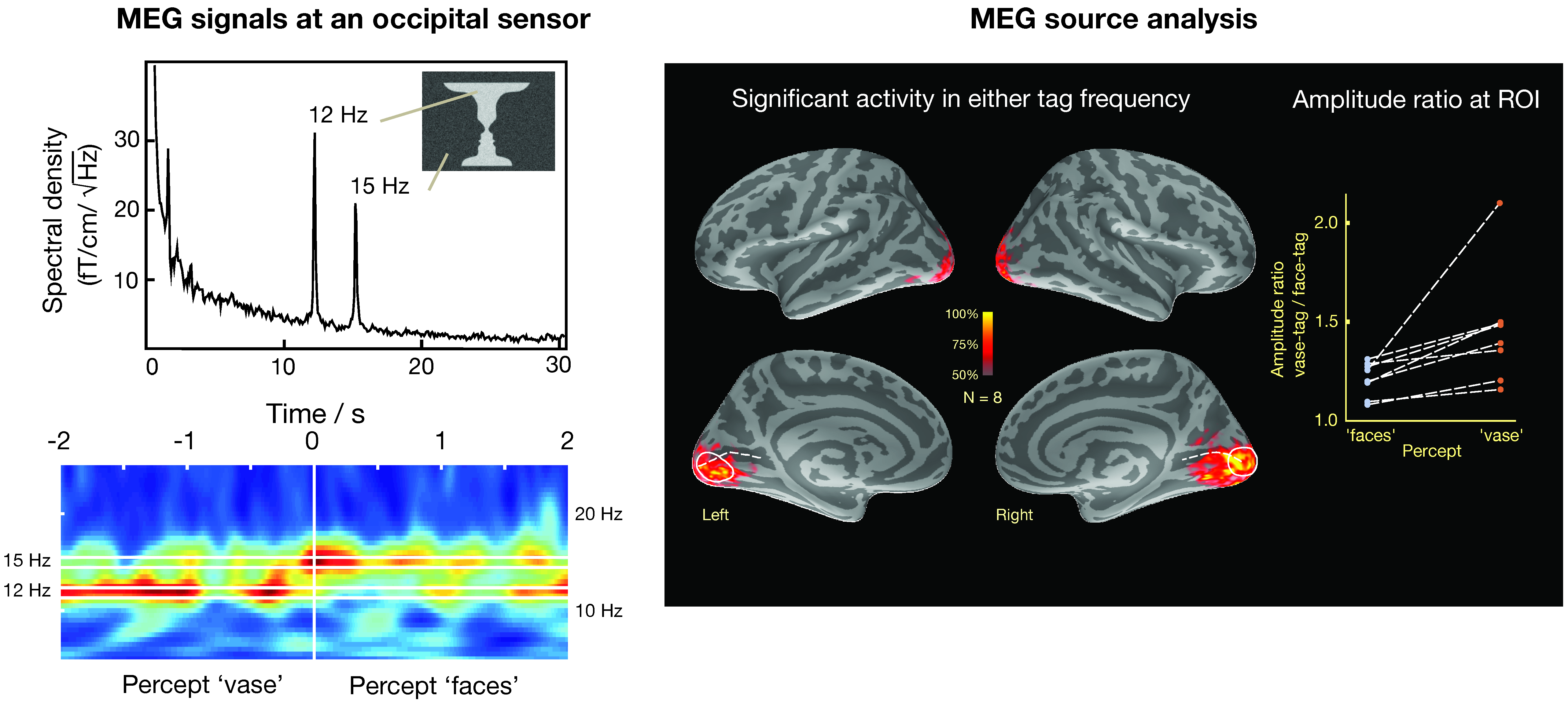 Brainsci 07 00058 g009