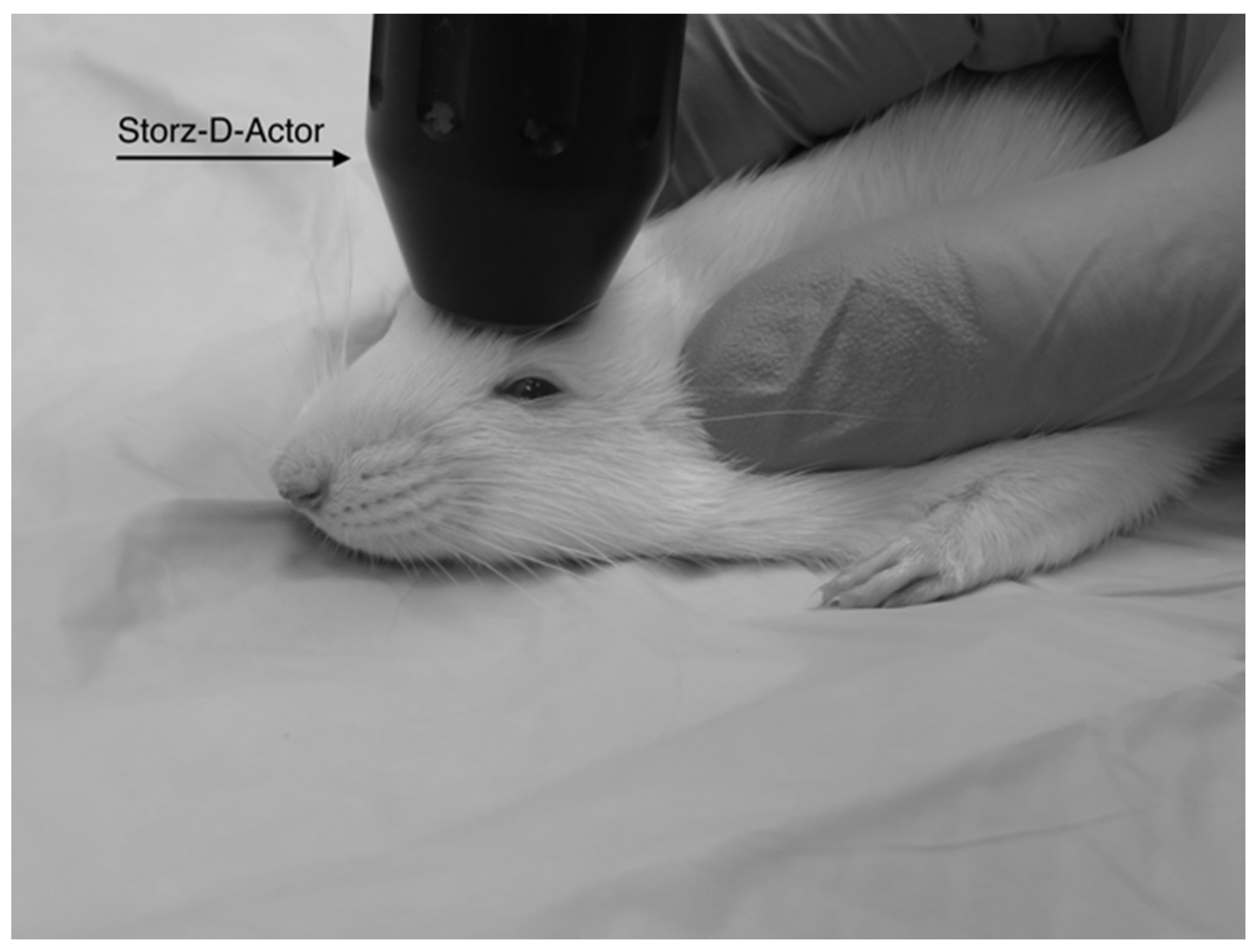 Brainsci 07 00059 g001