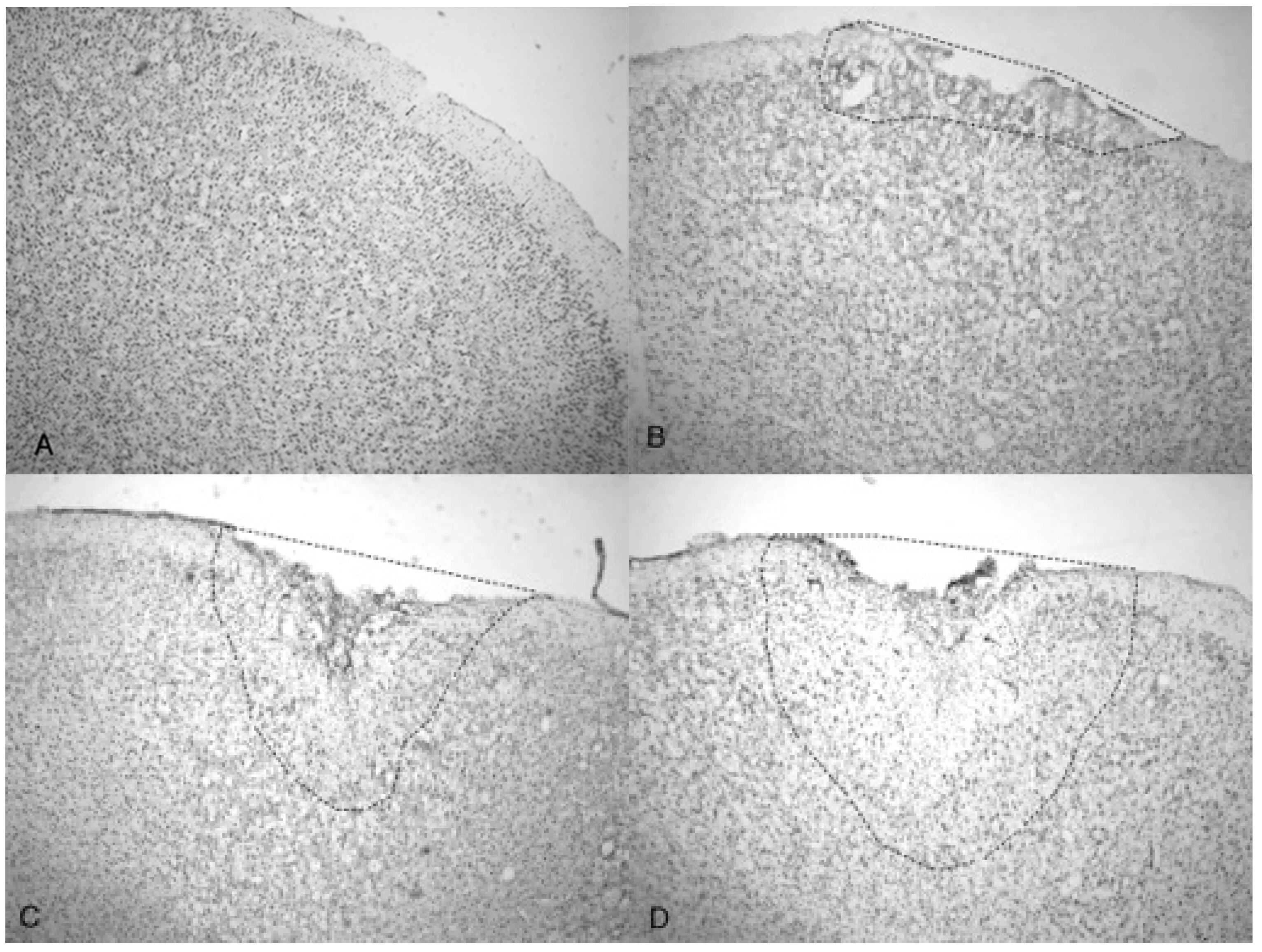 Brainsci 07 00059 g006