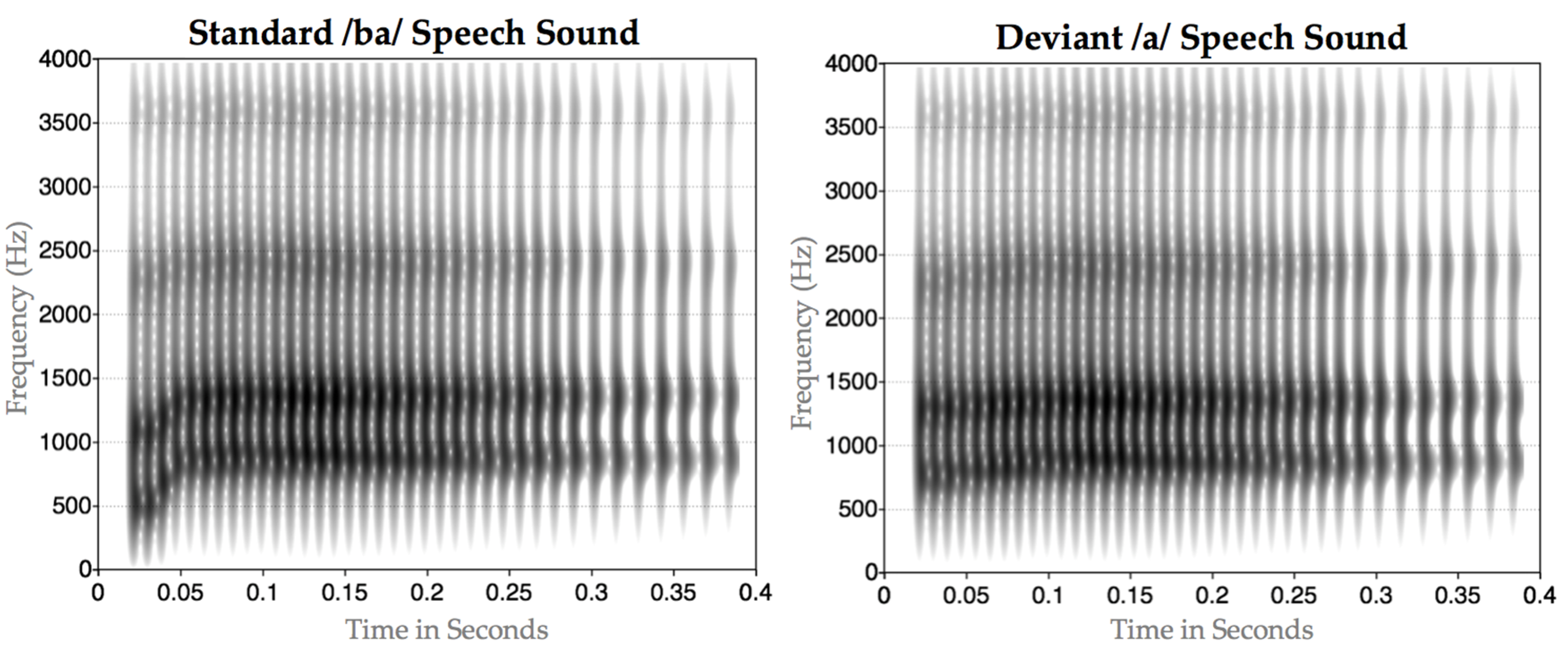 Brainsci 07 00060 g001