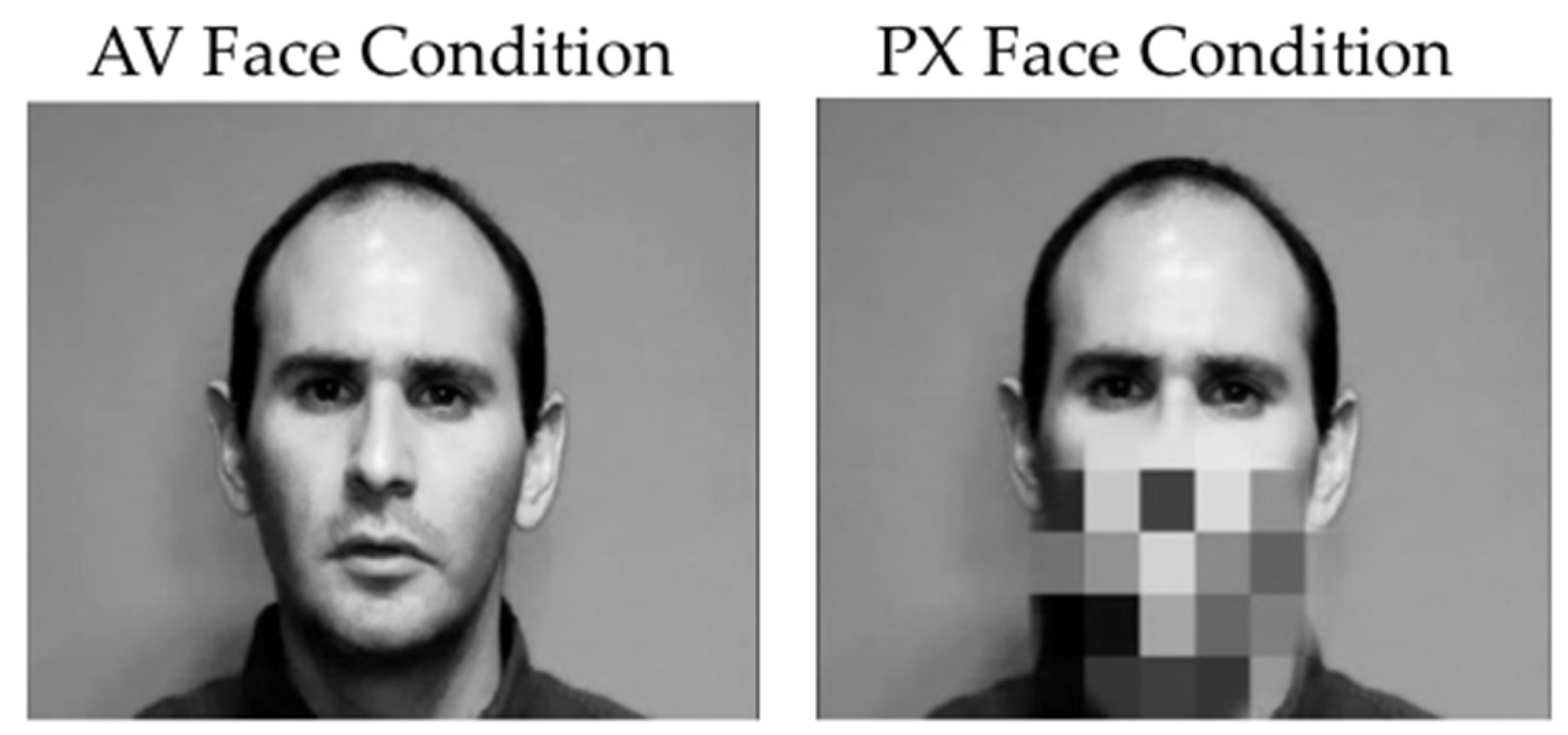 Brainsci 07 00060 g002