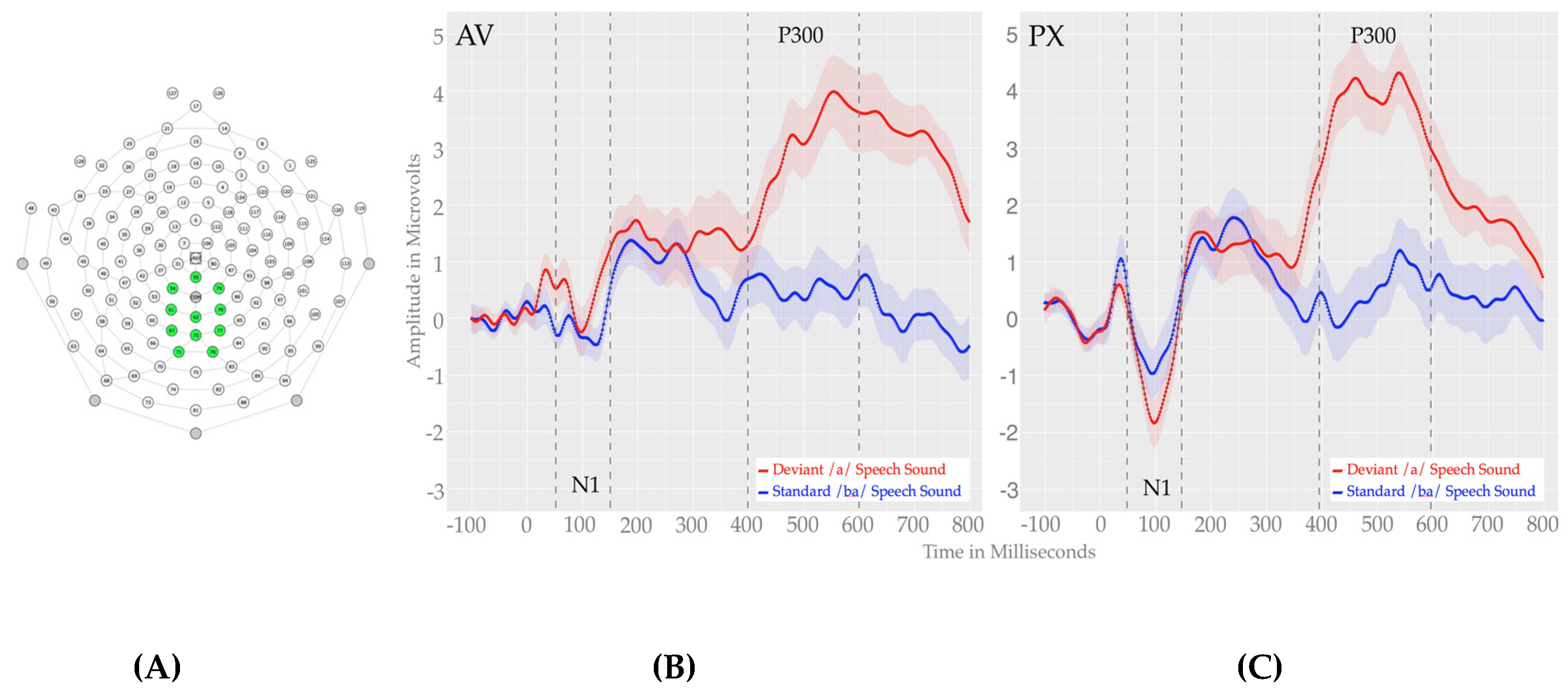 Brainsci 07 00060 g003