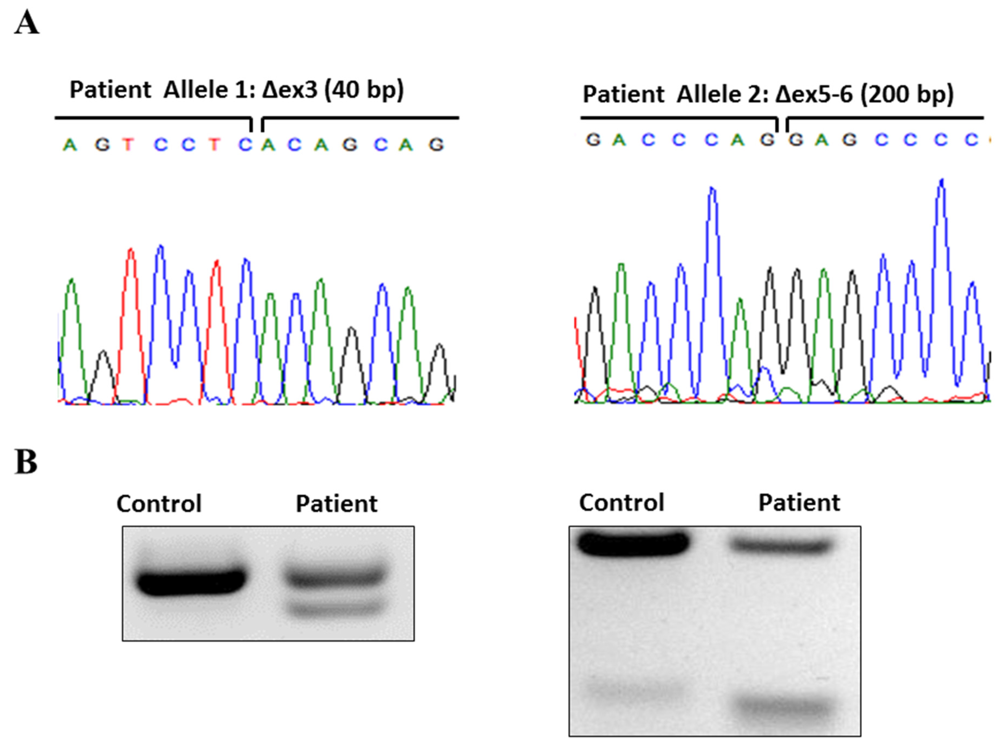 Brainsci 07 00071 g001