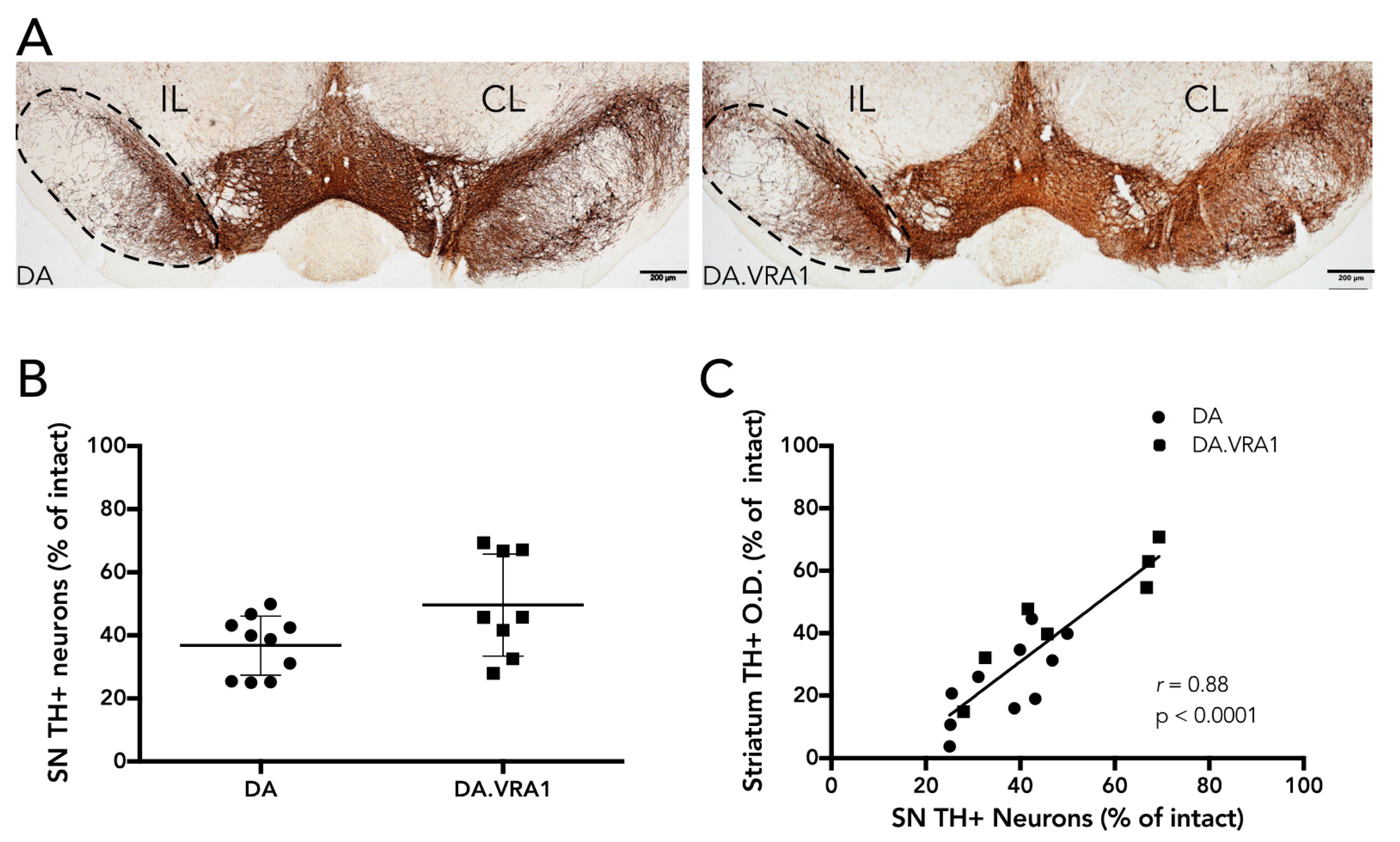 Brainsci 07 00073 g002