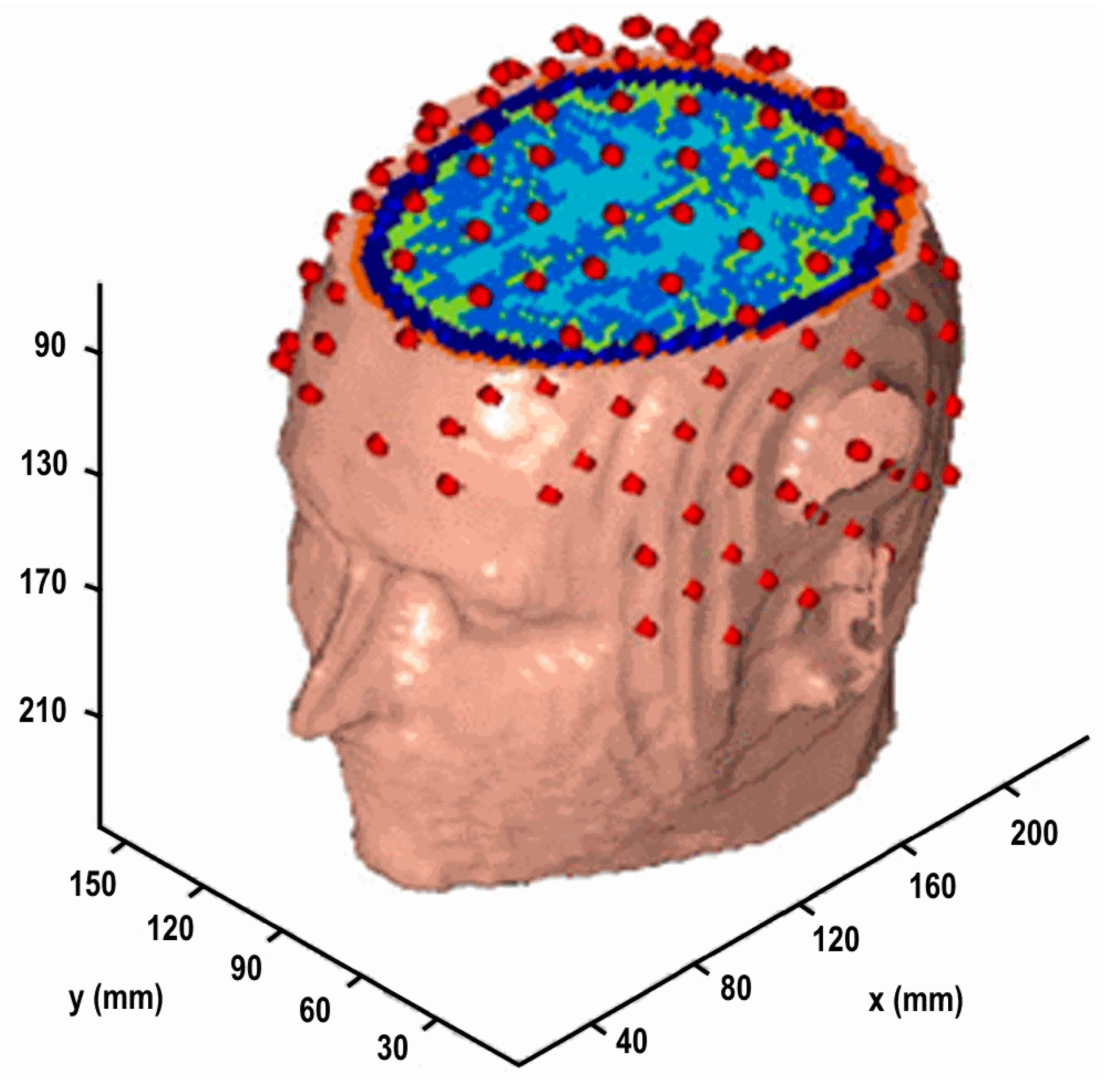 Brainsci 07 00118 g003 Brainsci 07 00118 g003