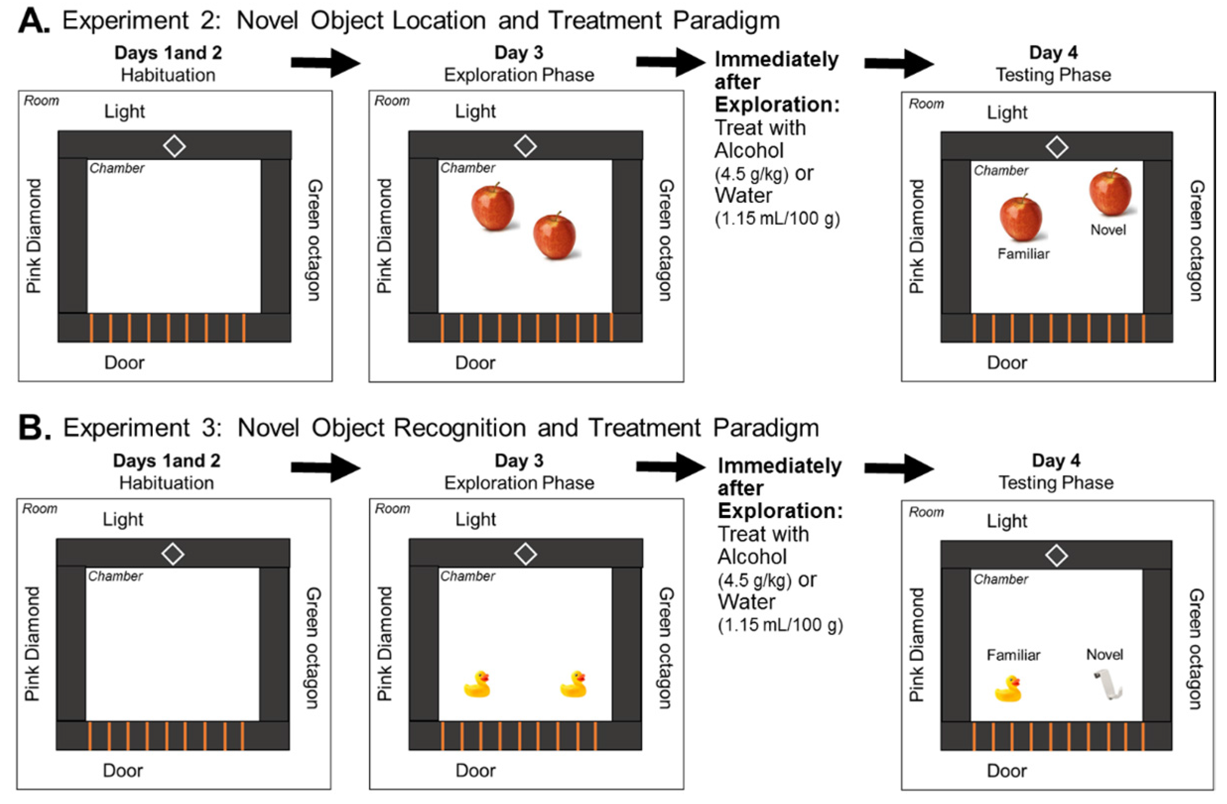 Brainsci 07 00125 g001