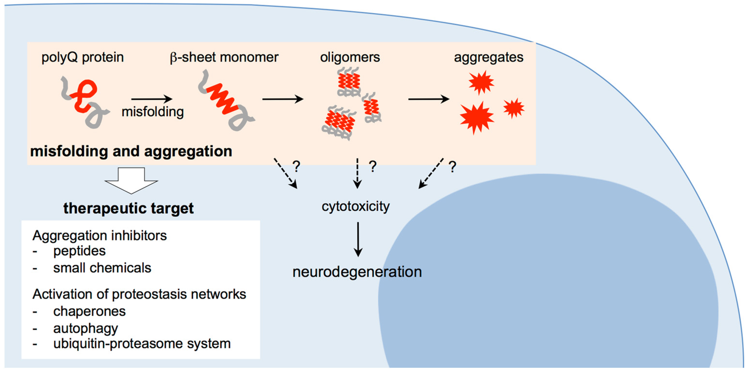 Brainsci 07 00128 g001 Brainsci 07 00128 g001