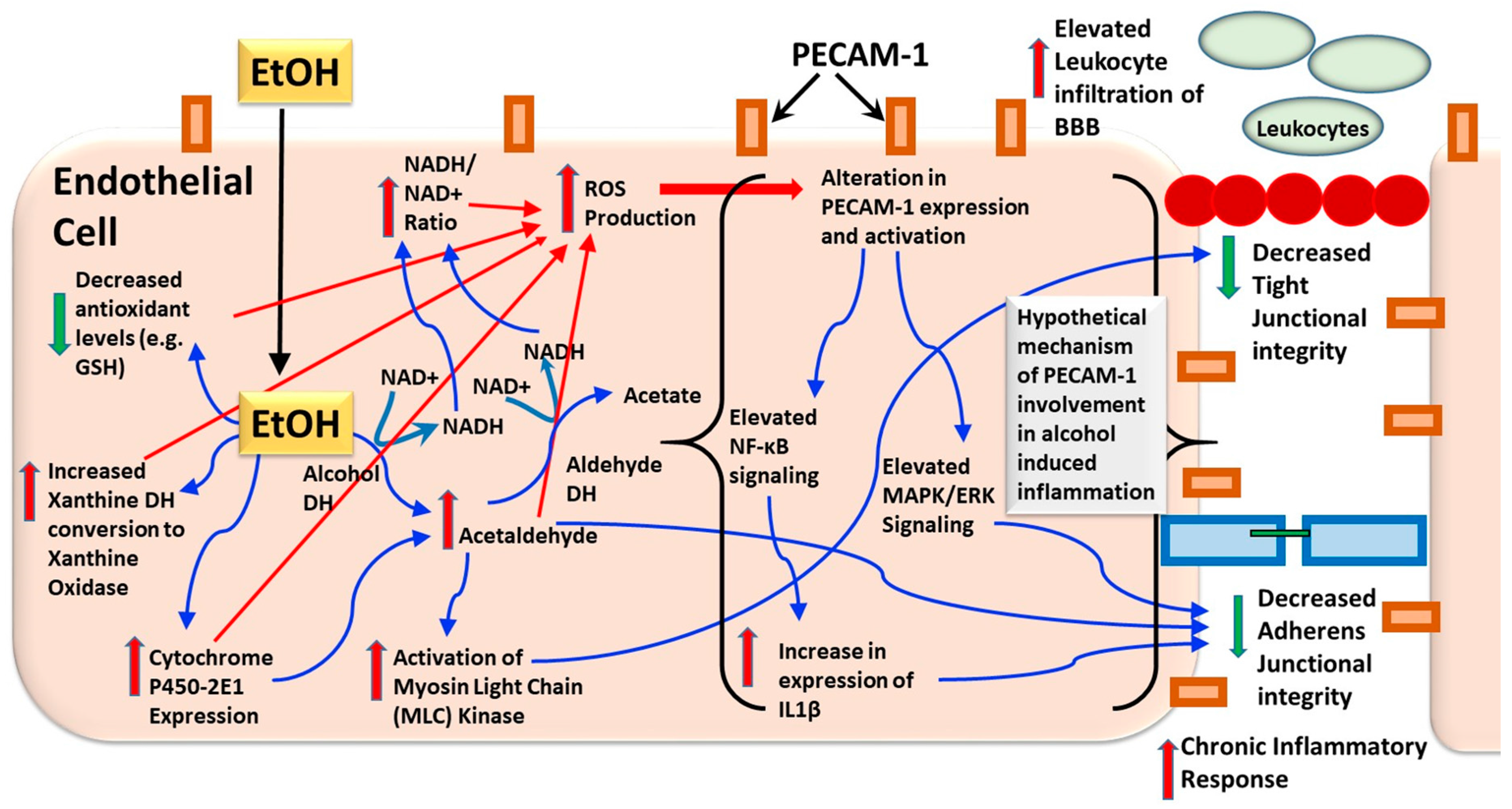 Brainsci 07 00131 g002