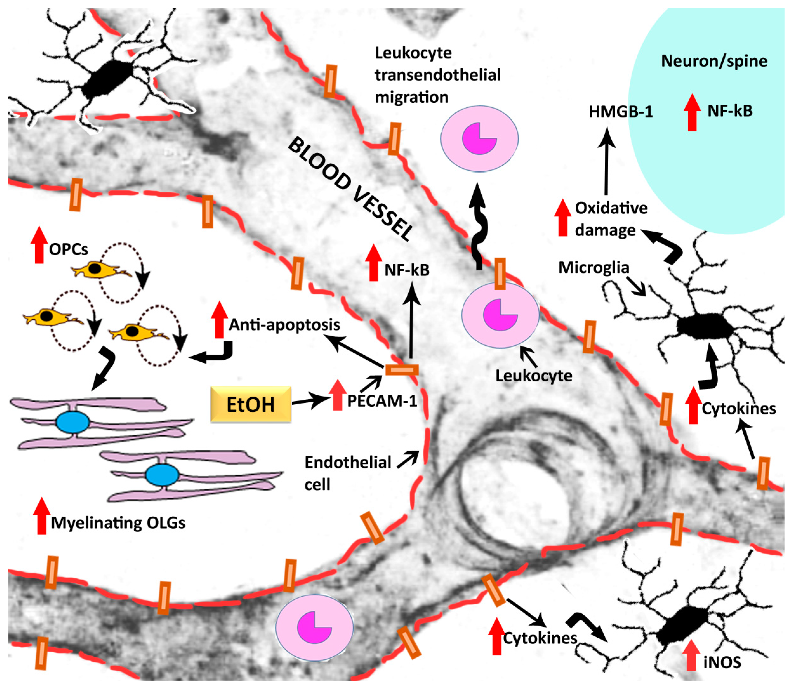 Brainsci 07 00131 g003
