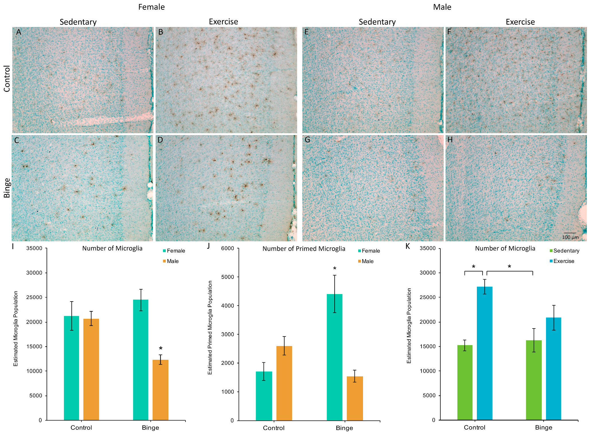 Brainsci 07 00139 g002