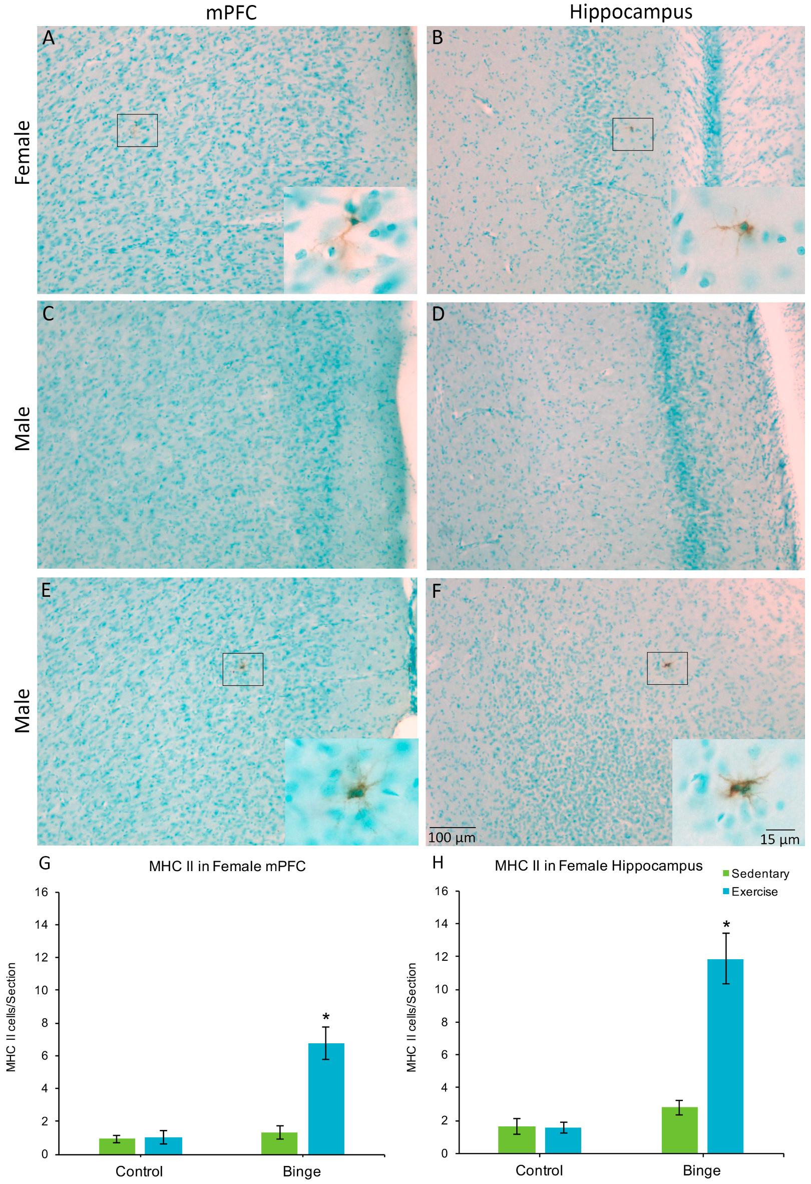 Brainsci 07 00139 g004