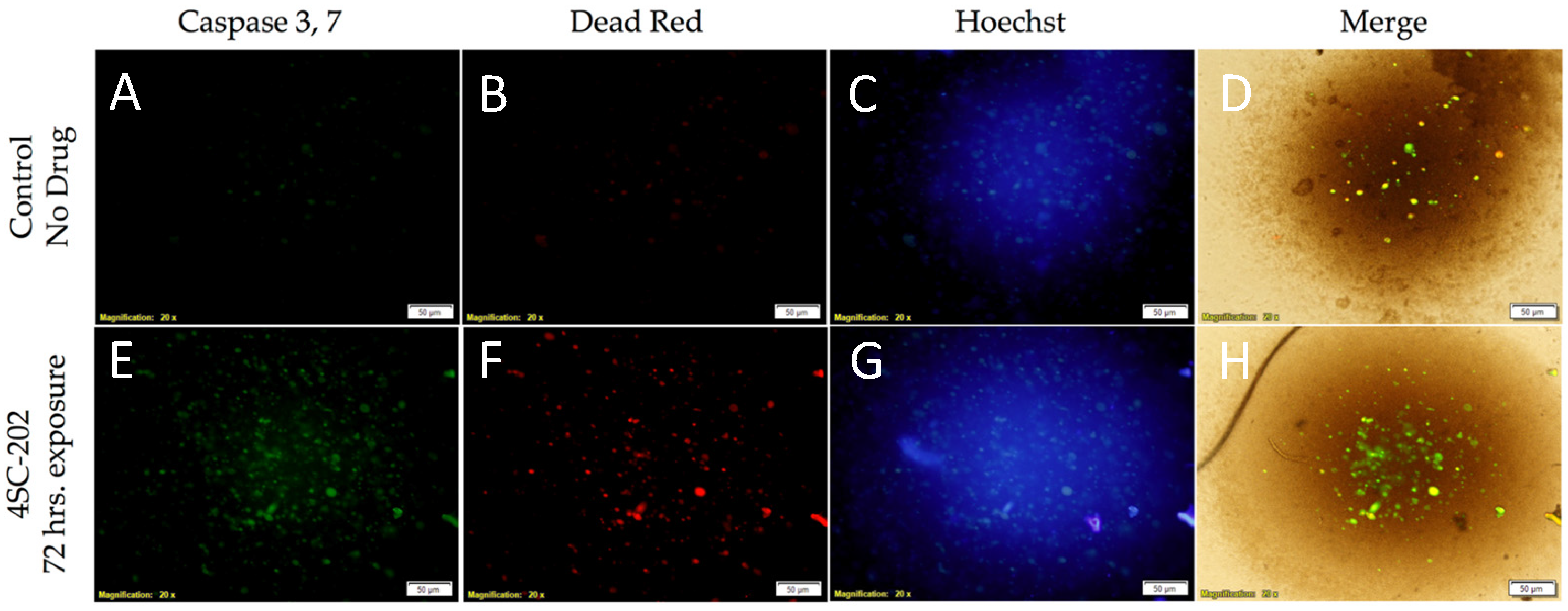 Brainsci 07 00147 g002