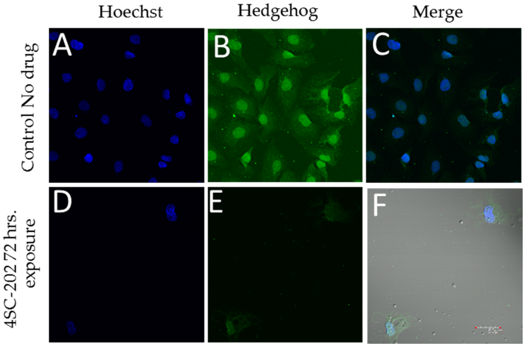 Brainsci 07 00147 g003