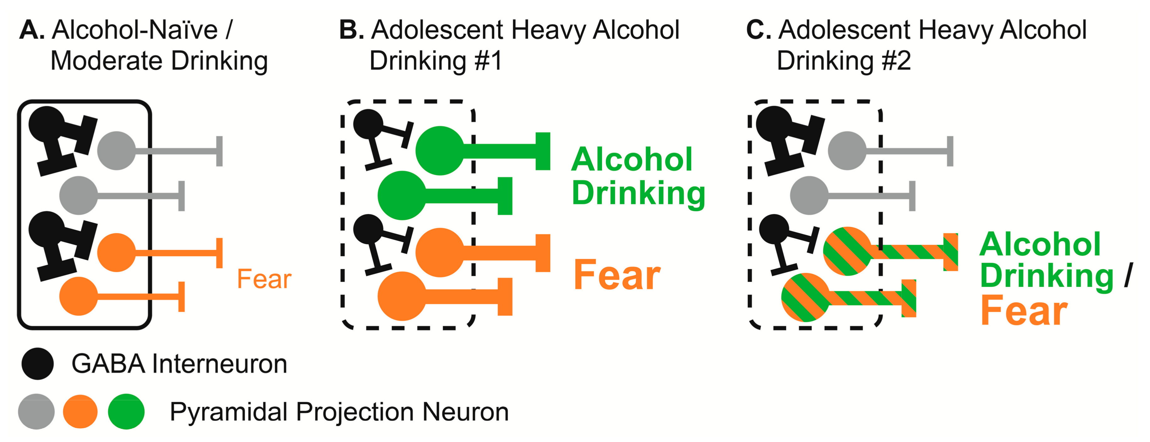 Brainsci 07 00151 g006