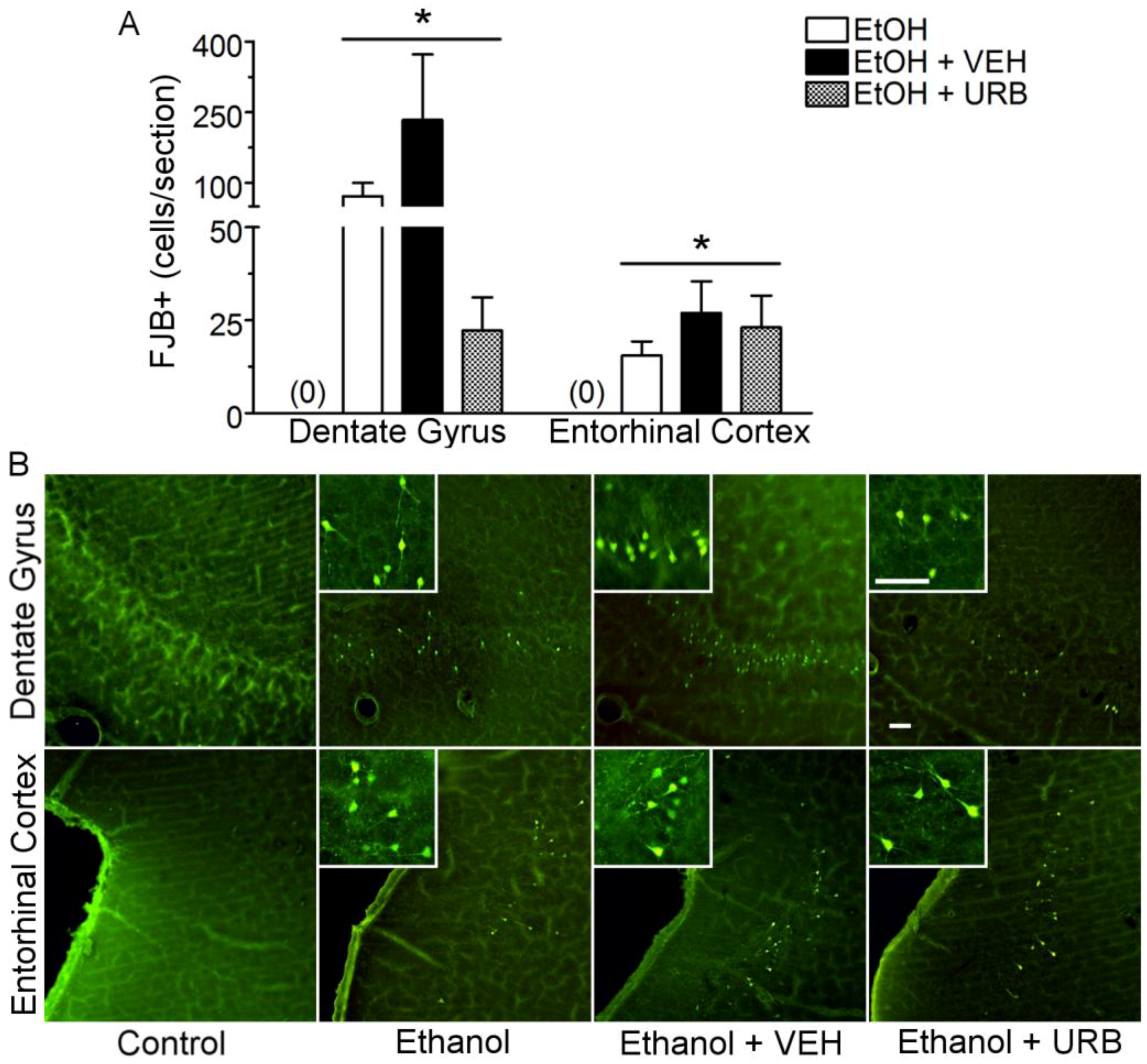 Brainsci 07 00158 g004