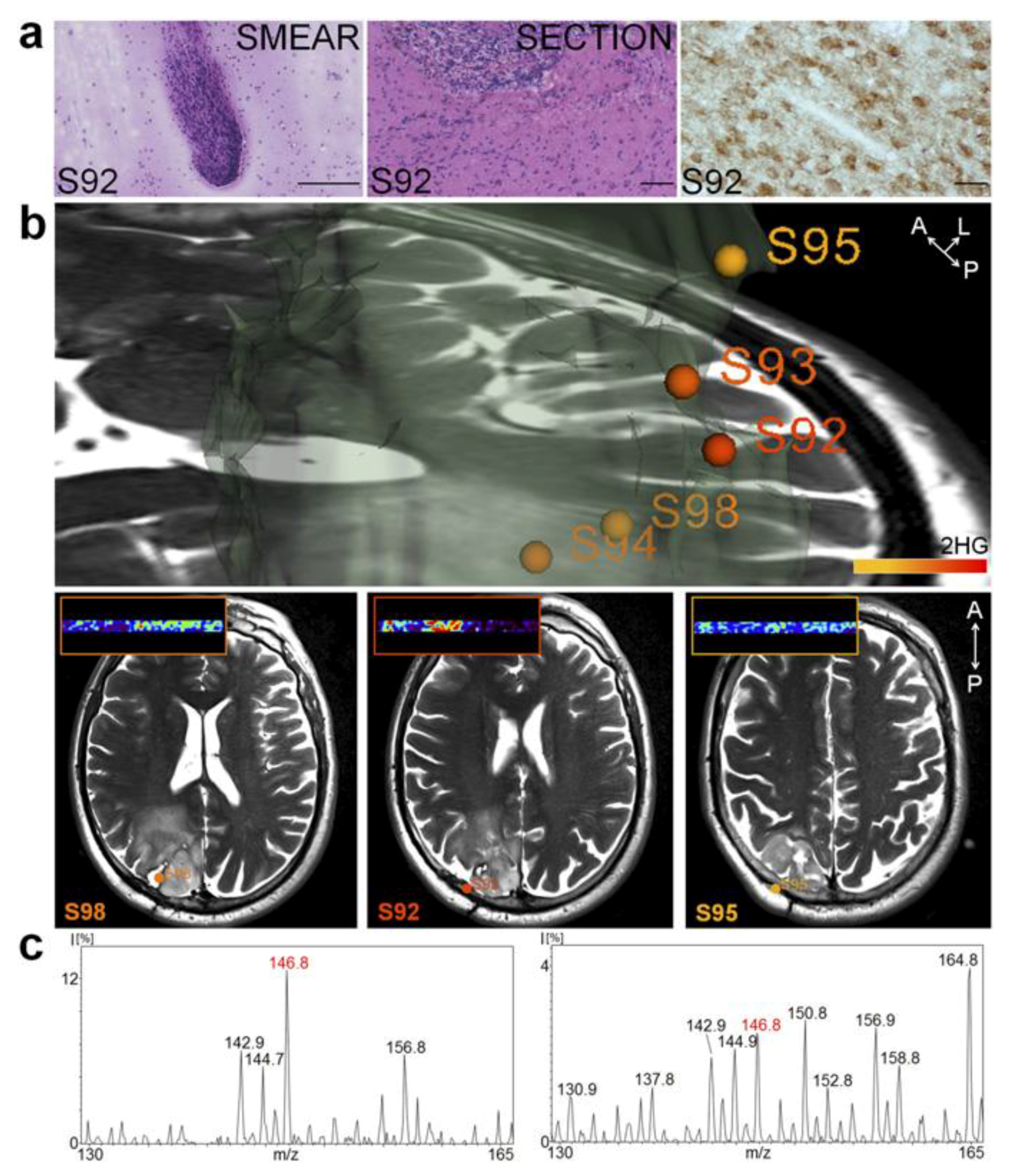 Brainsci 07 00166 g003