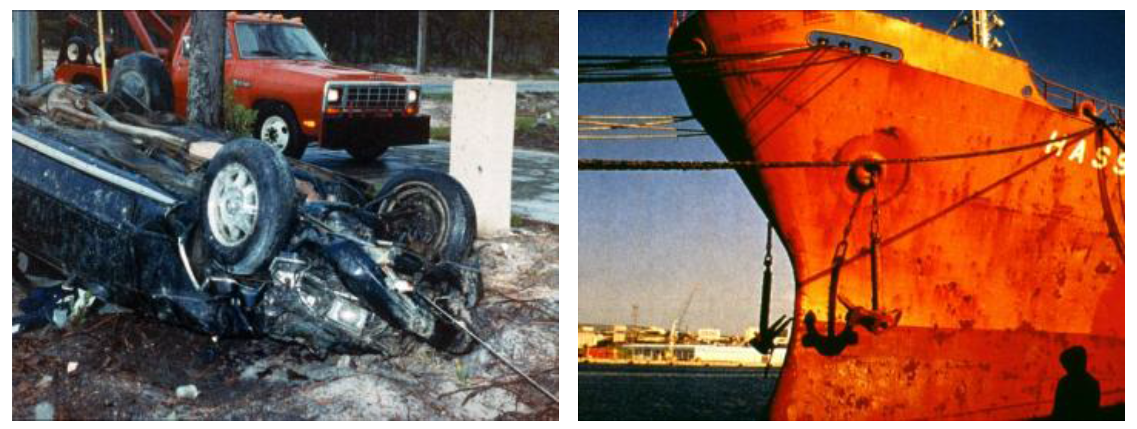 Brainsci 08 00006 g001