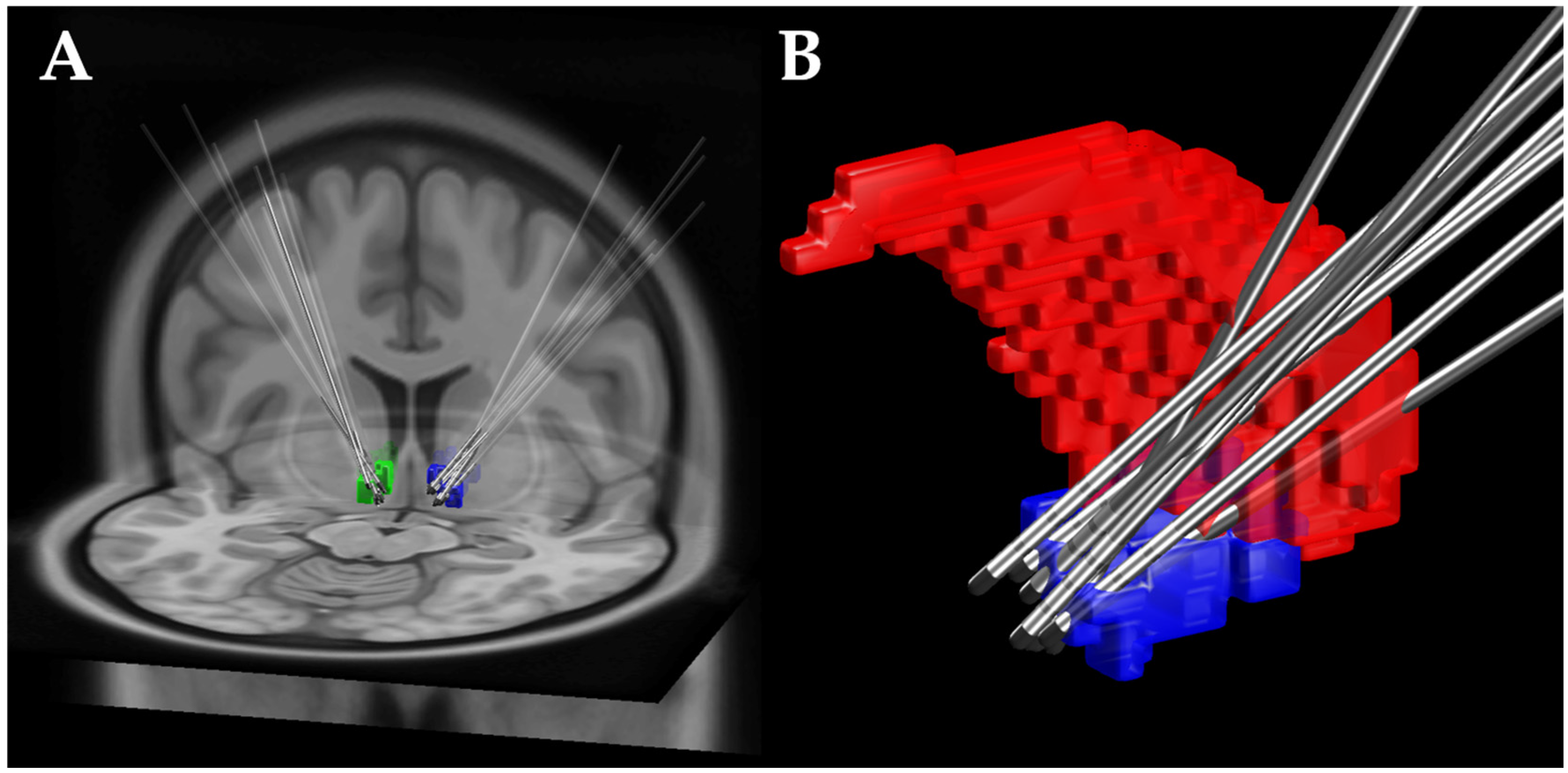 Brainsci 08 00021 g002