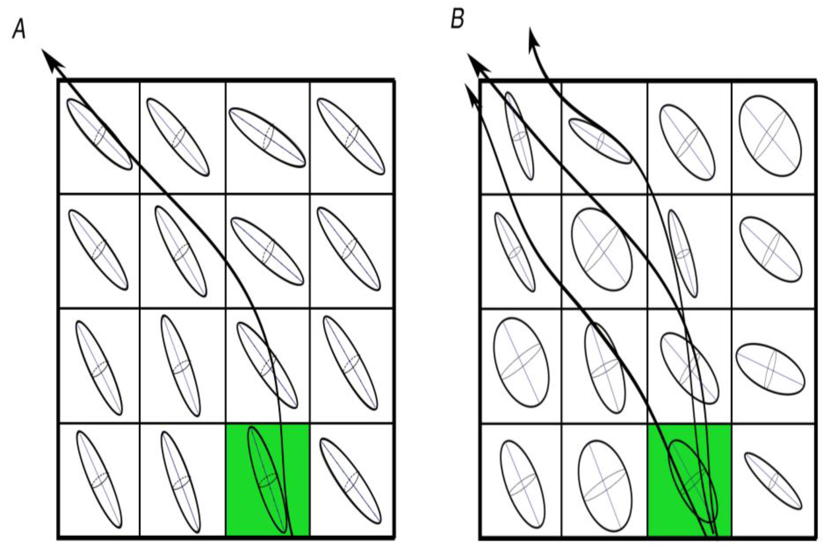 Brainsci 08 00023 g002